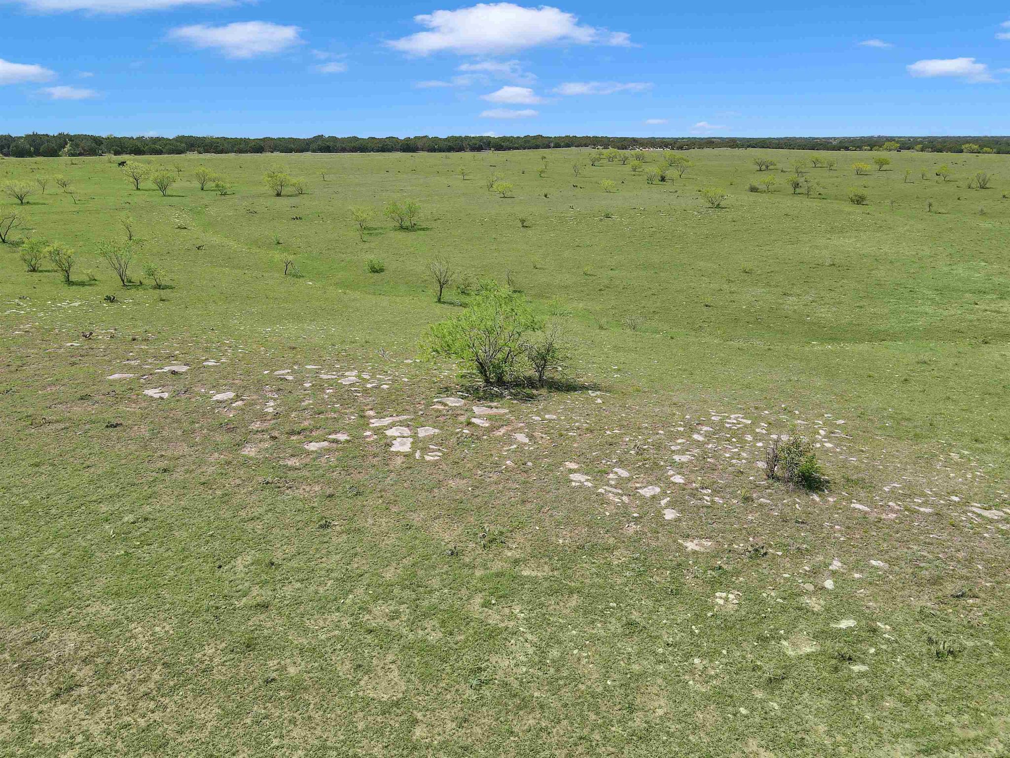 Tract 1 CR 207, Burnet