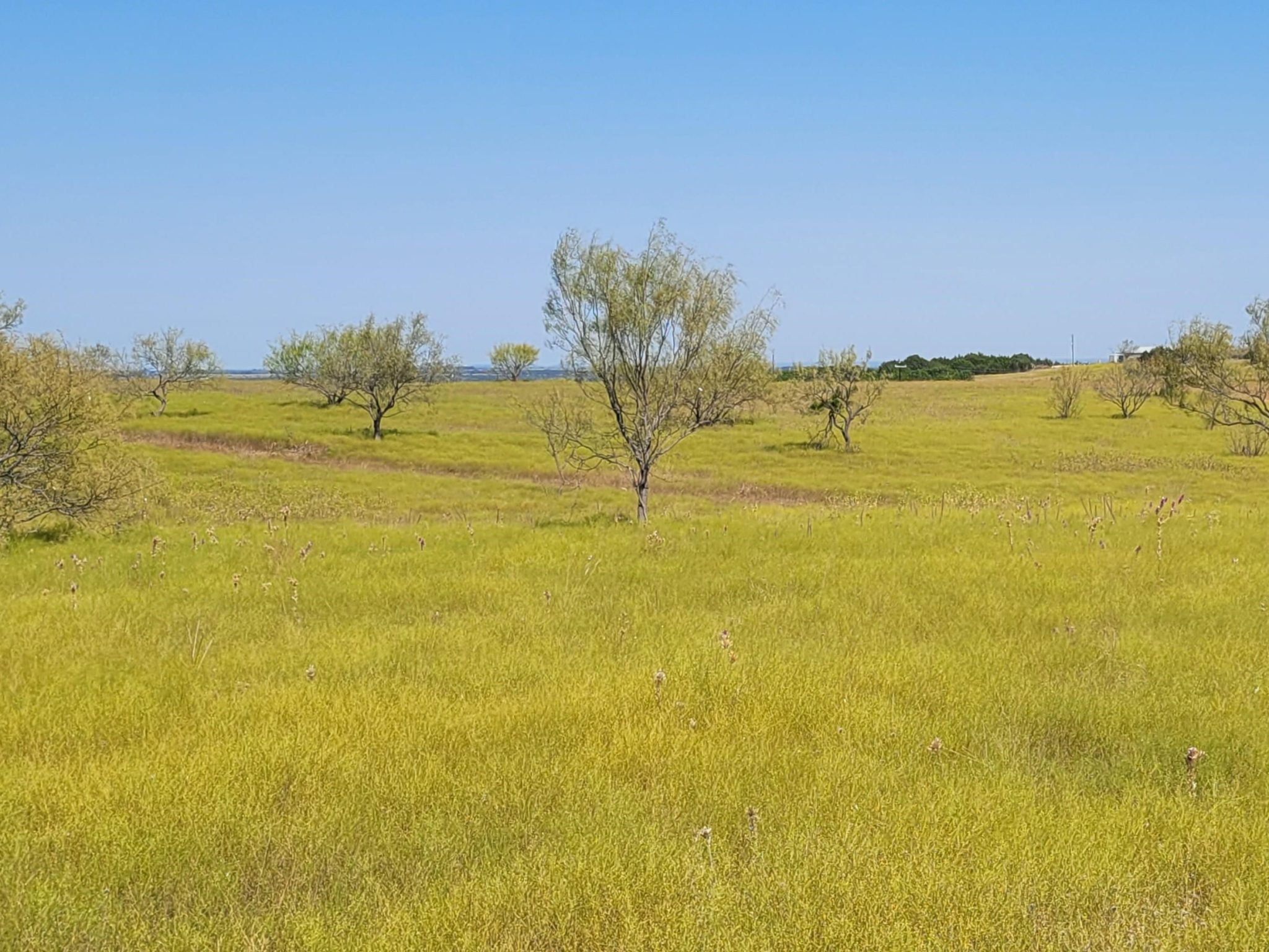 Tract 3 CR 207, Burnet