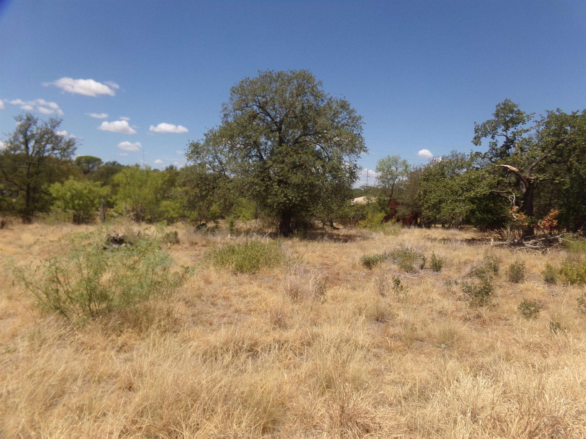 lot 141 PINE, Cottonwood Shores