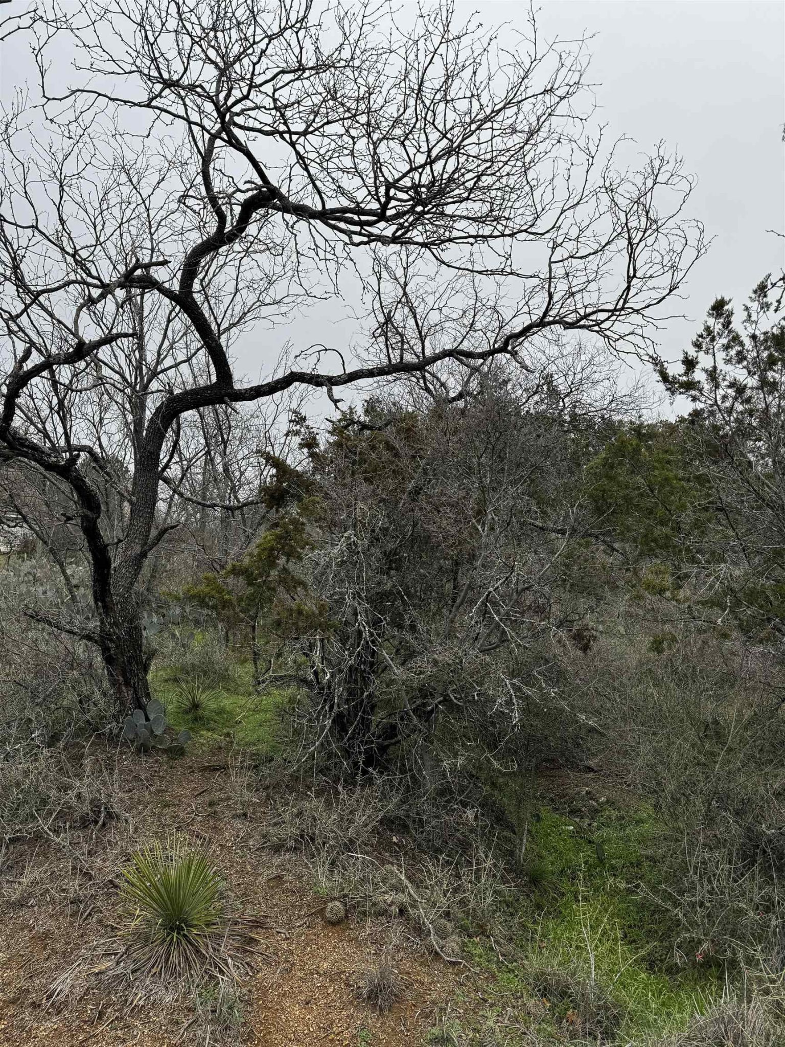 Lot 424 Castlewood Drive, Granite Shoals