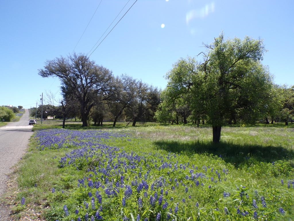 309 Navarro, Llano