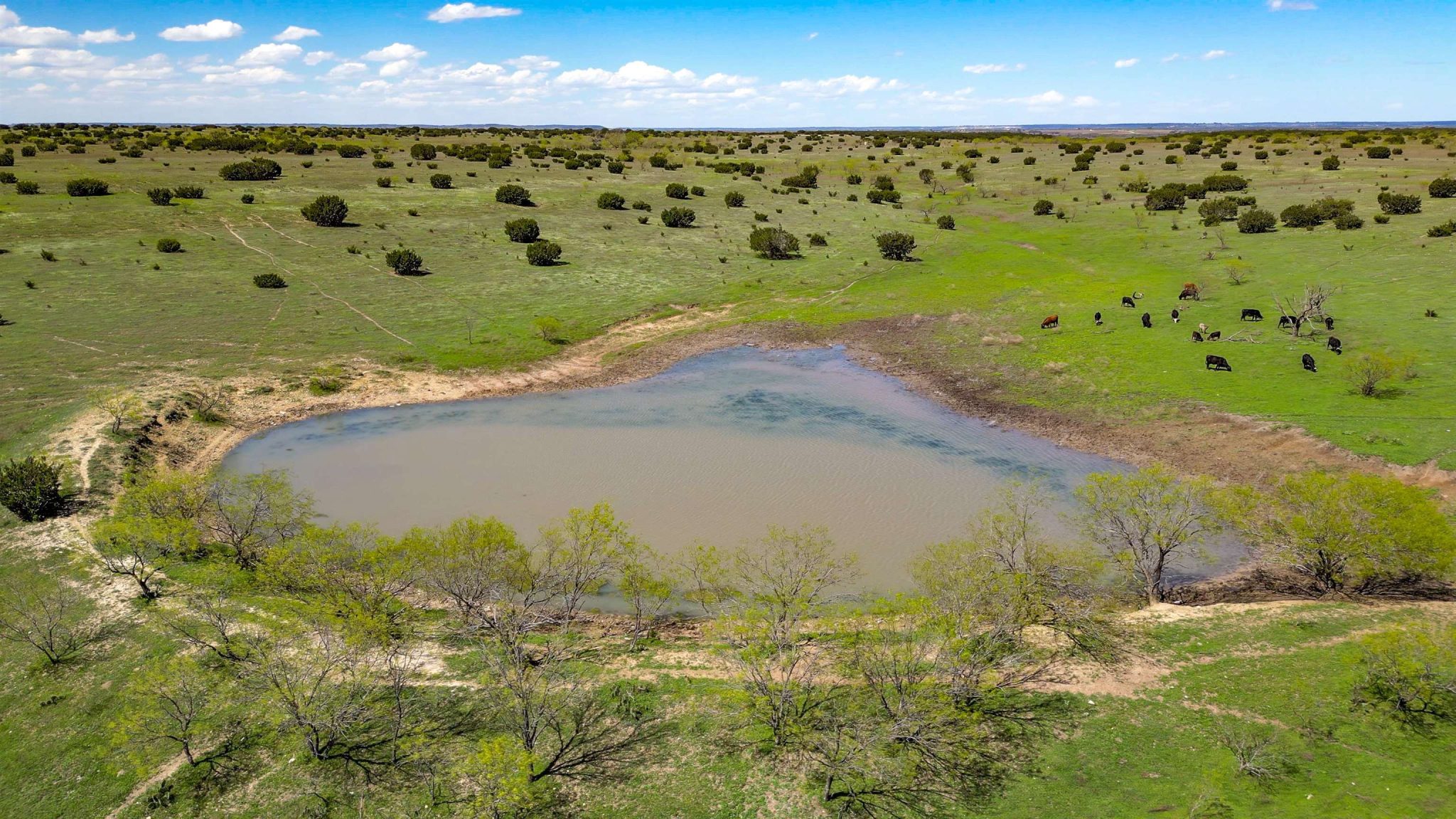 4121 County Road 2719, Out of Area