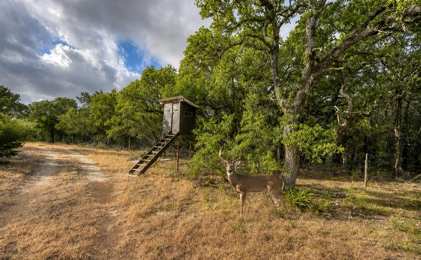 149 CR 103, Lampasas