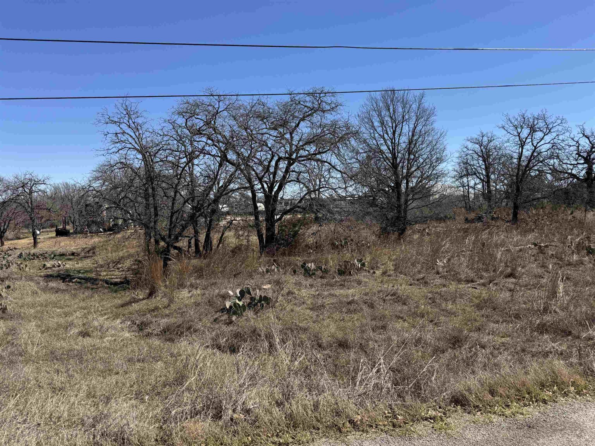 Lot 149 Woodlawn, Kingsland