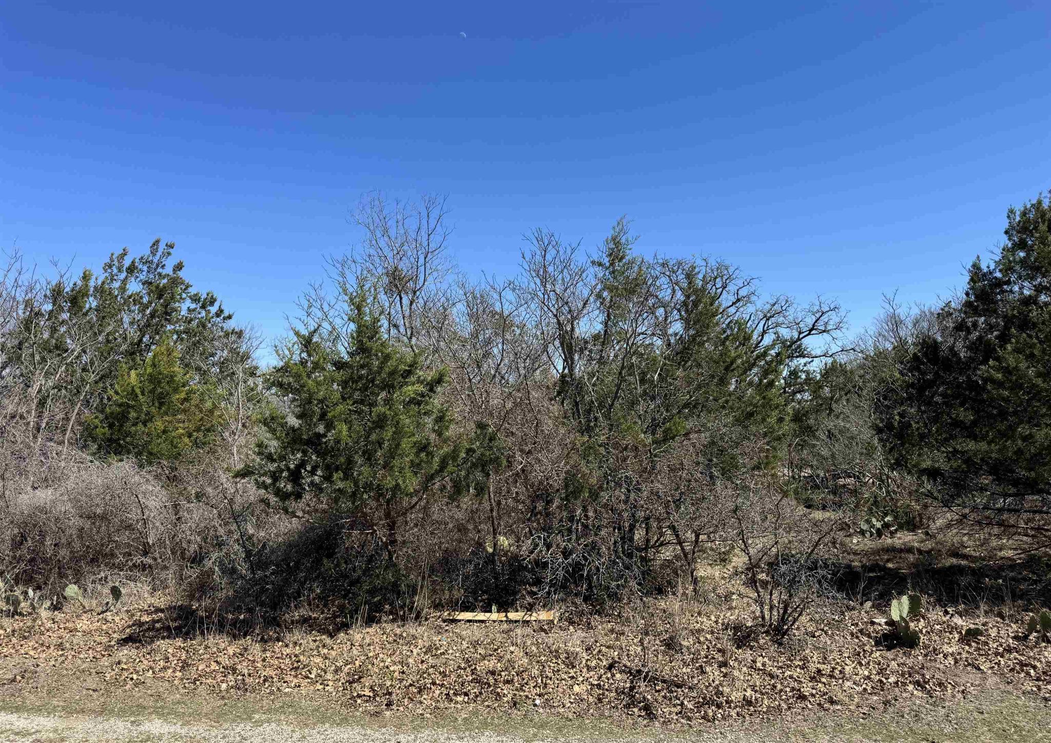 Lot 218 Western, Kingsland