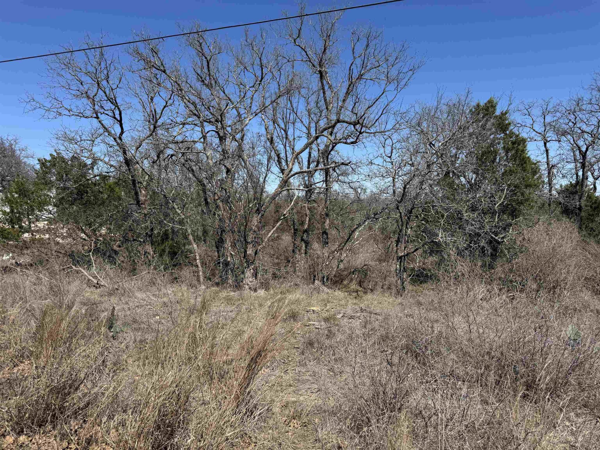 Lot 179 Longmont, Kingsland