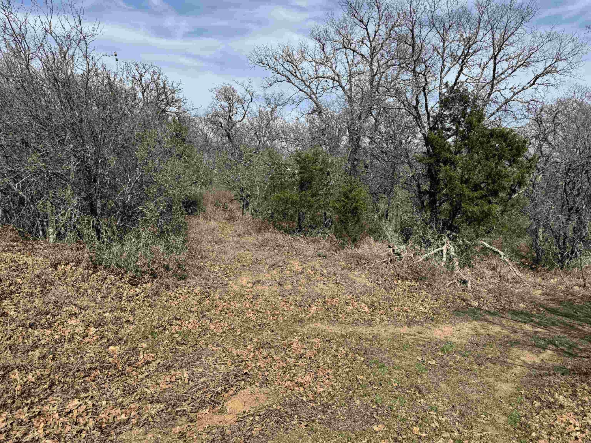 Lot 296-297 Pinemont, Kingsland