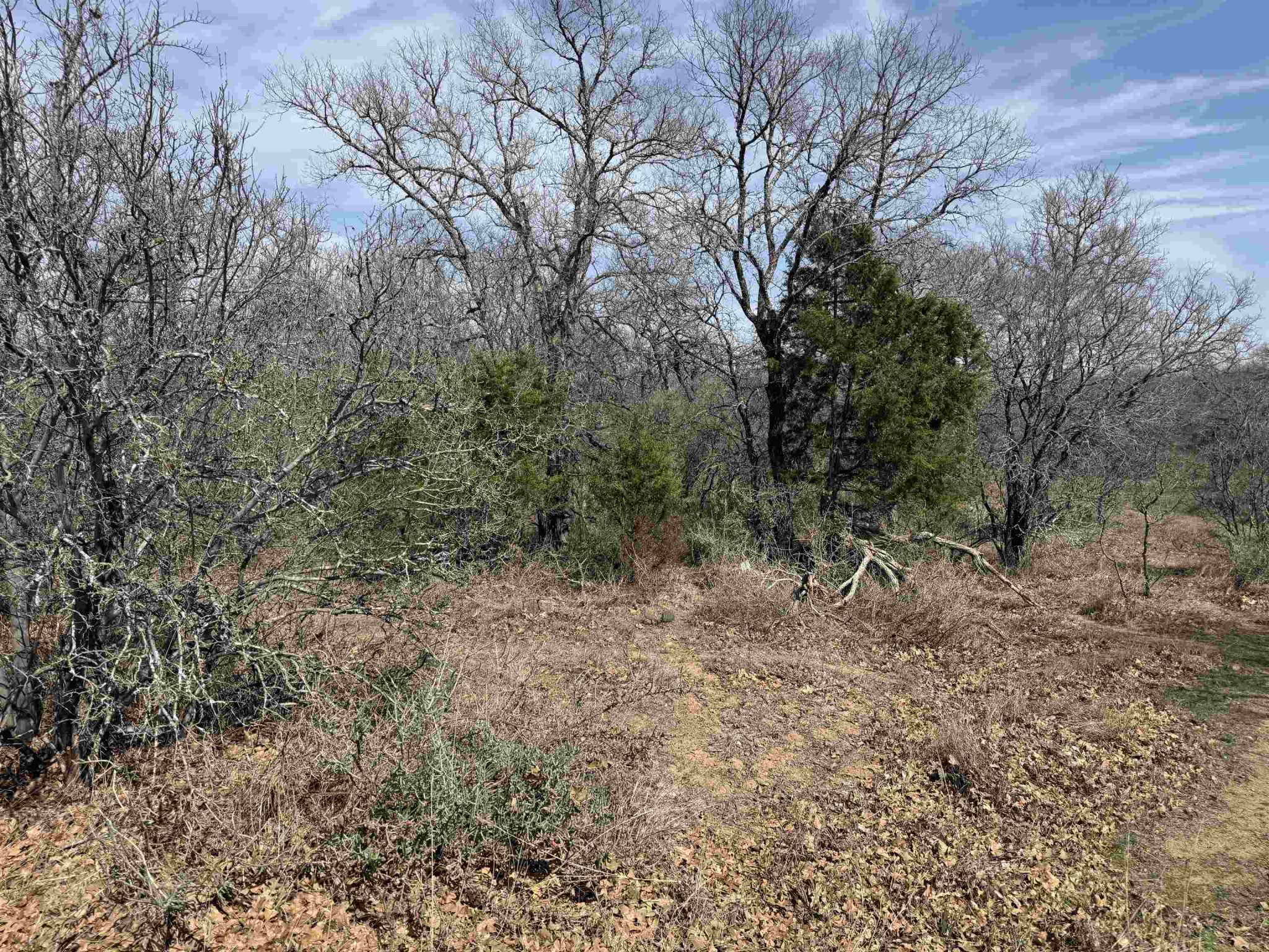 Lot 283-289 Aspermont, Kingsland