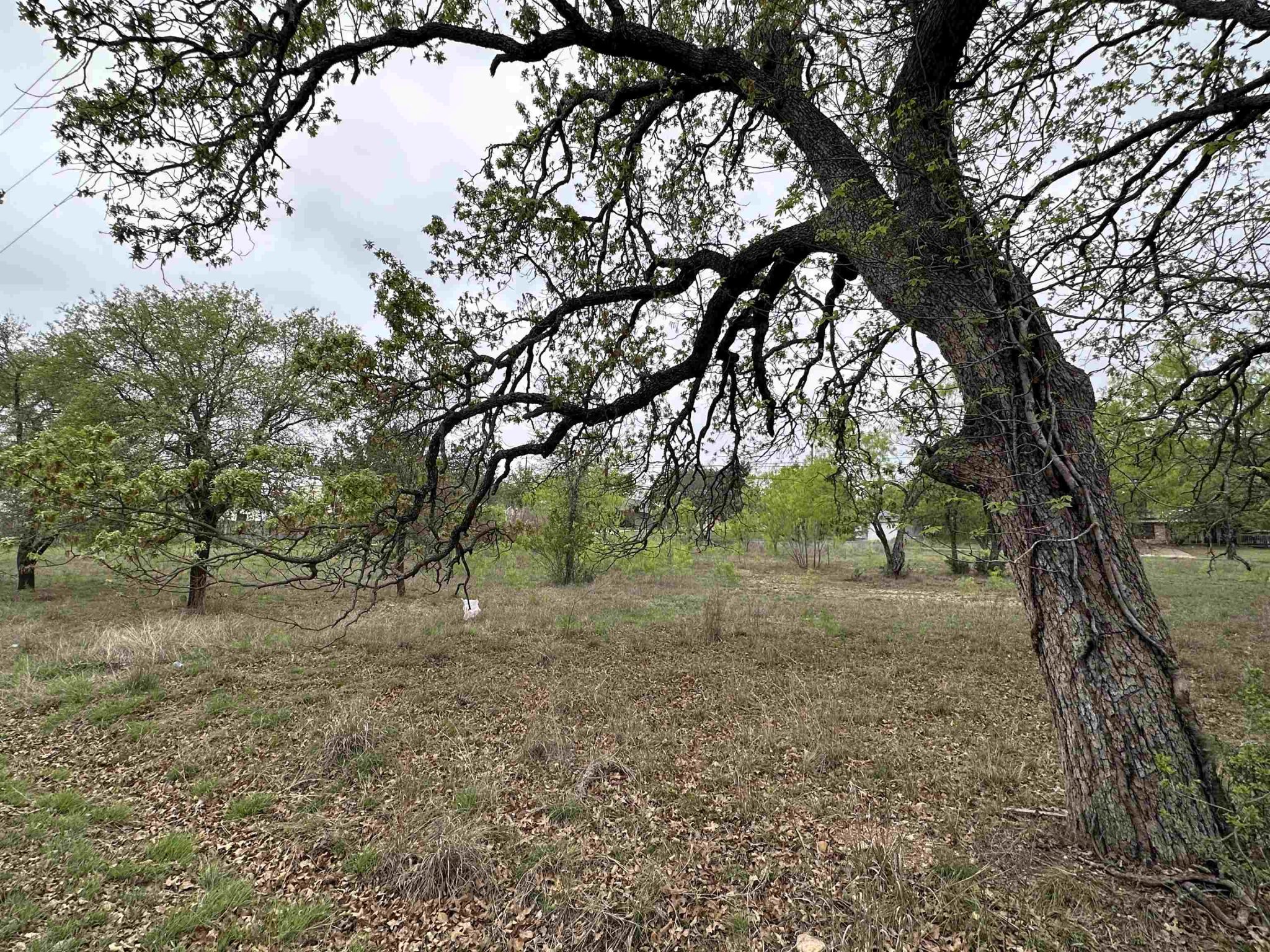 Lot 161 Driftwood Ln, Cottonwood Shores