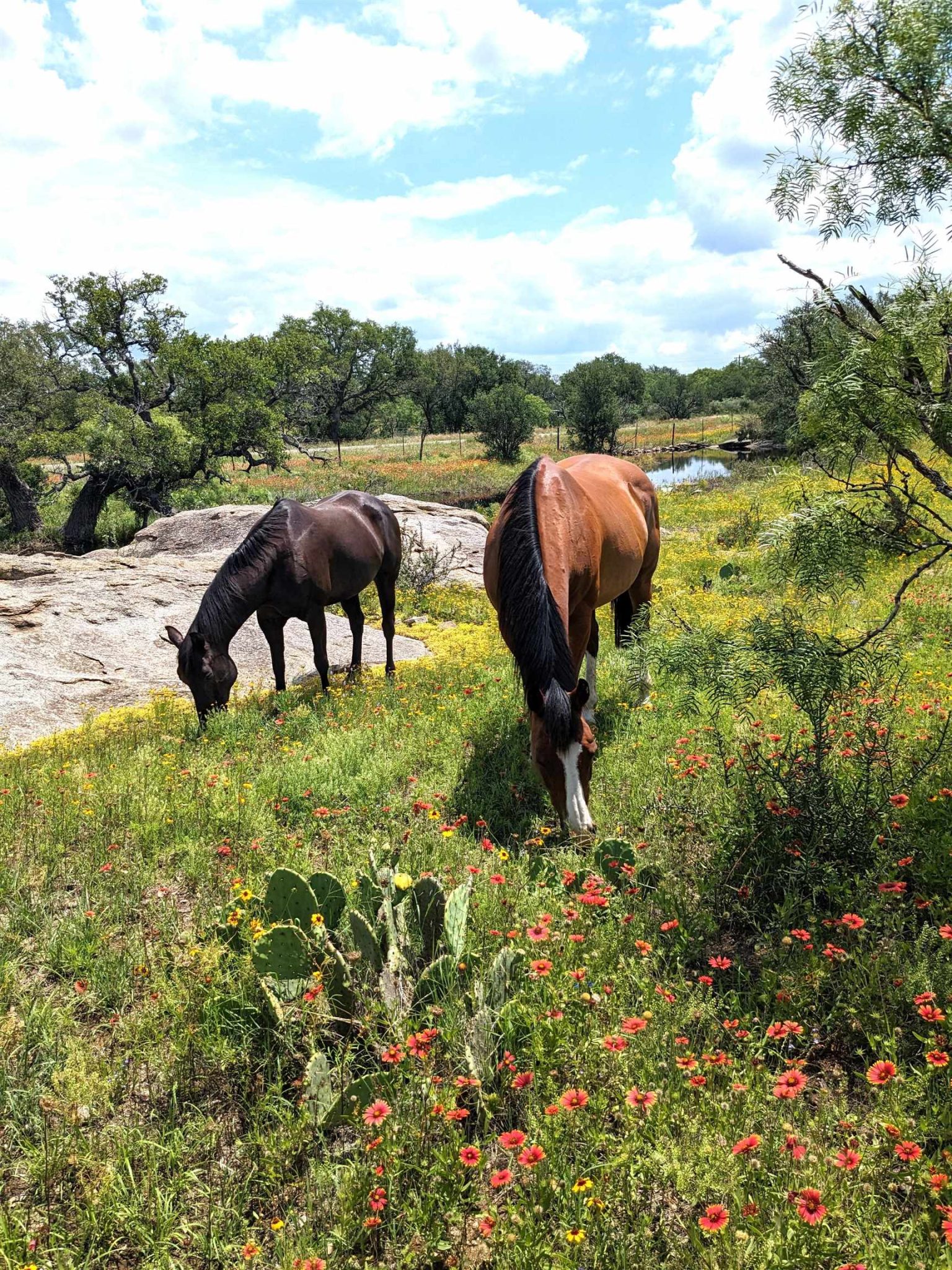 4900 Highway 71, Llano