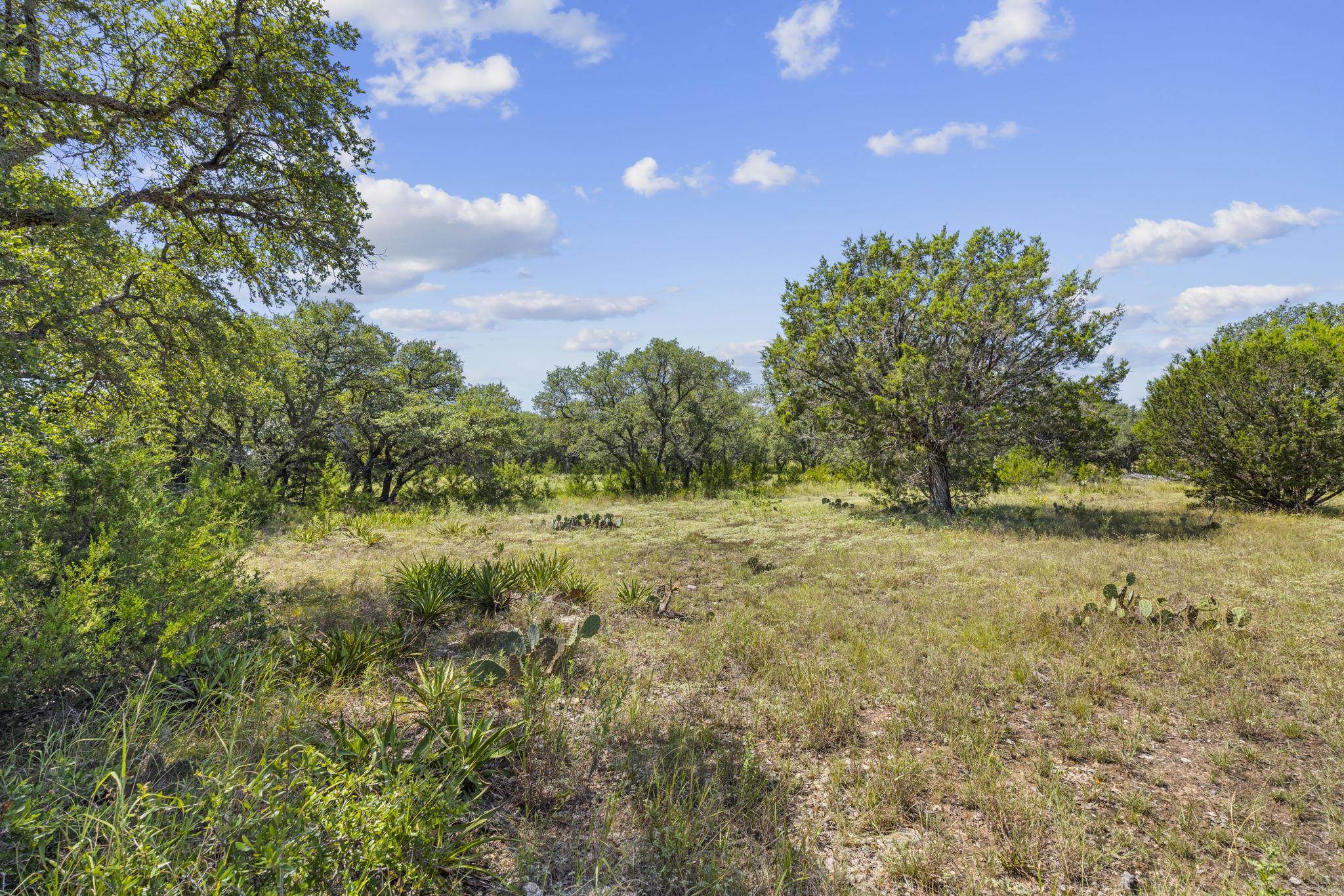 Lot 170 Heartleaf, Lampasas