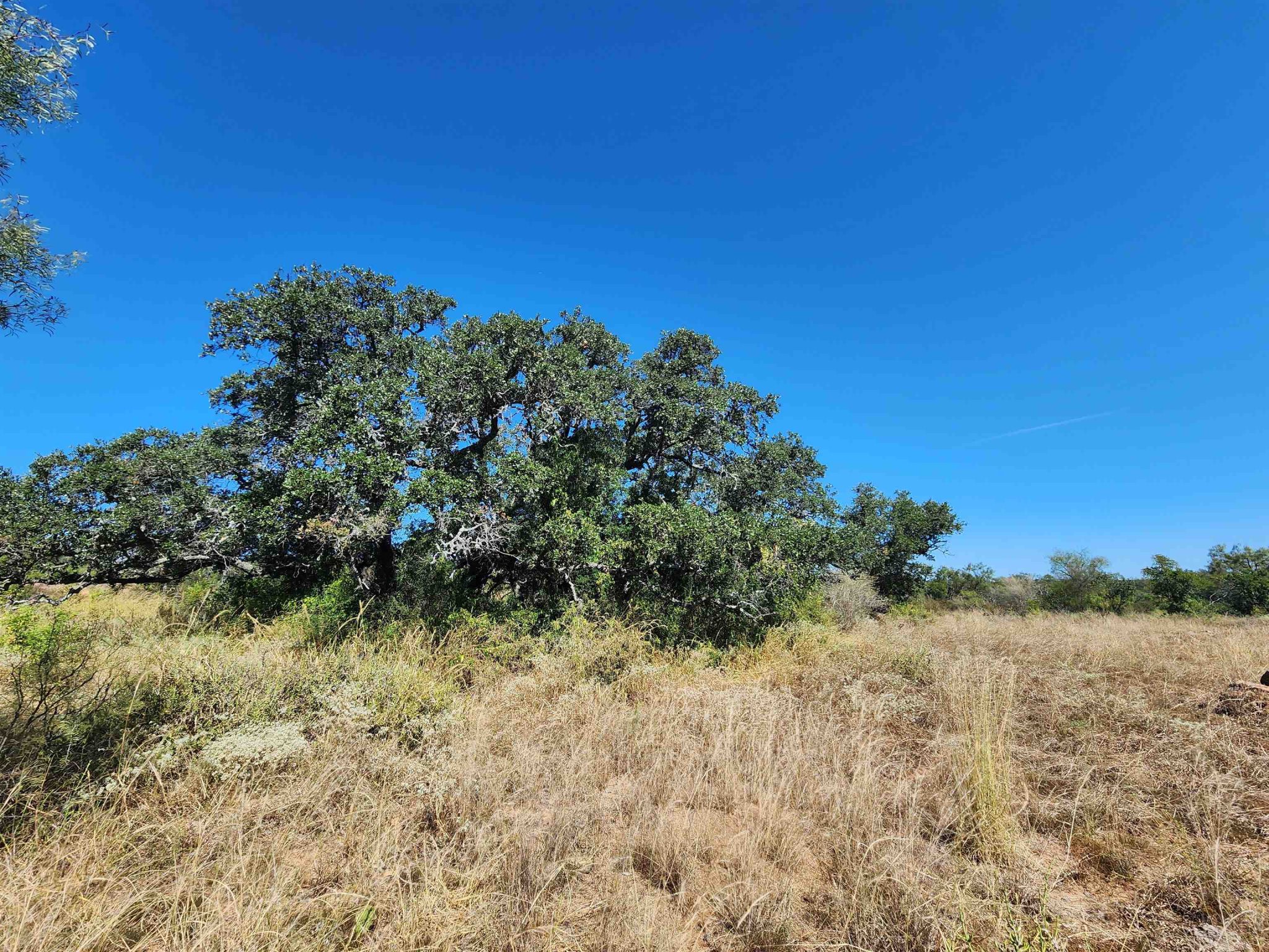 TBD Hwy 29, Llano
