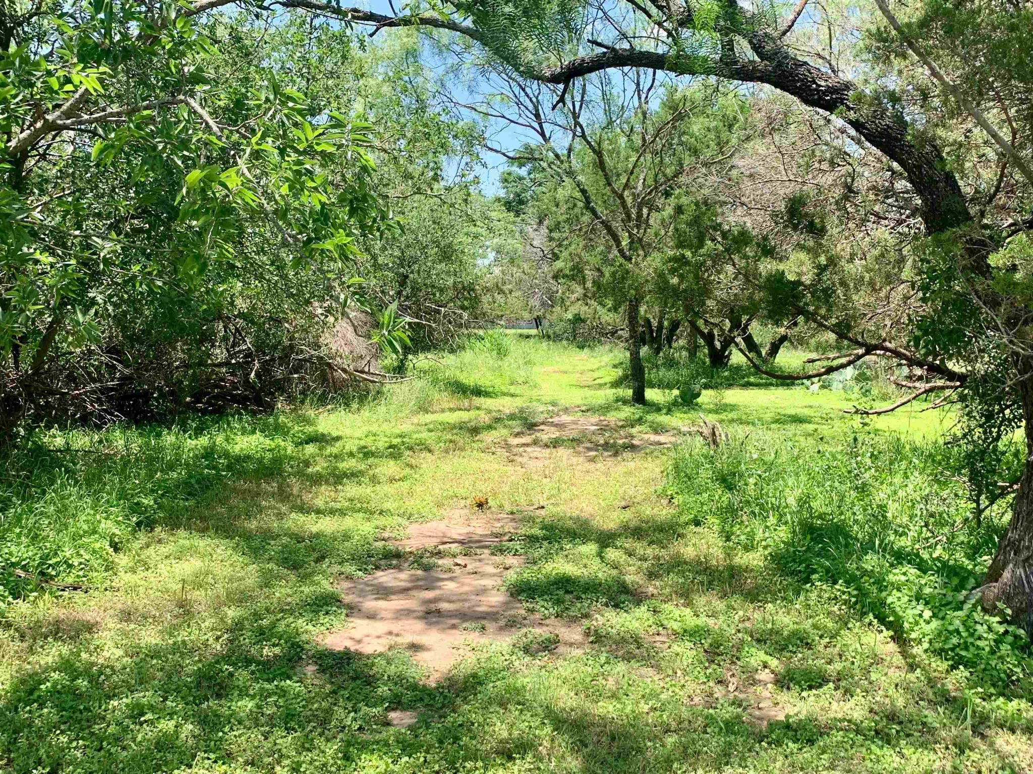 Lot 520 Aspen, Cottonwood Shores