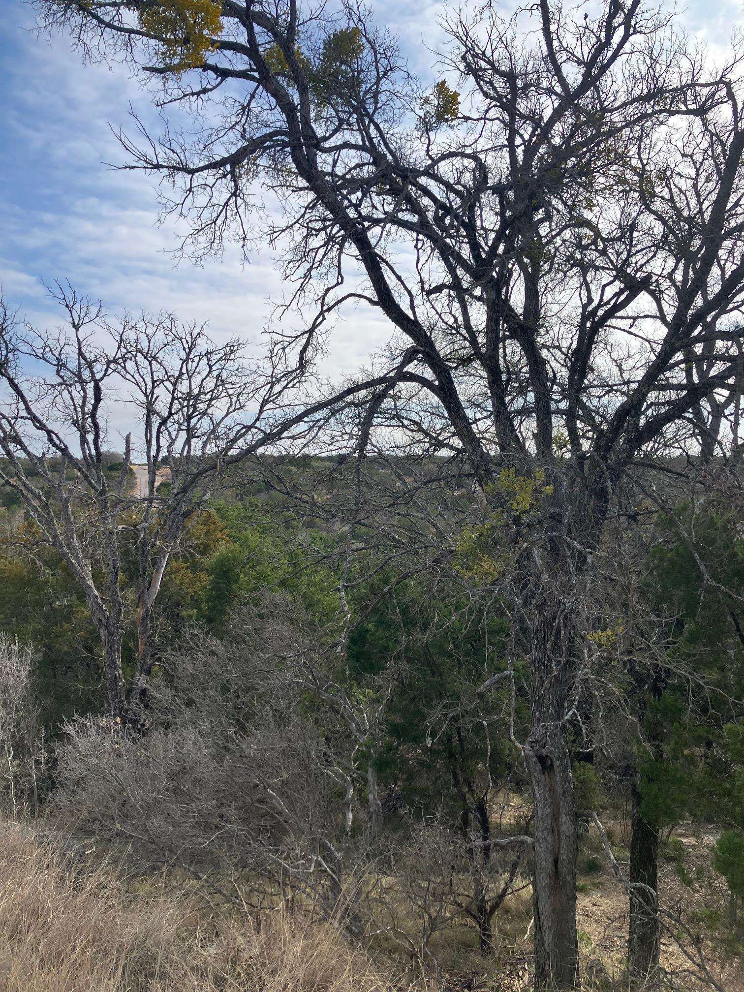 Lot 27125 Hi Mesa, Horseshoe Bay