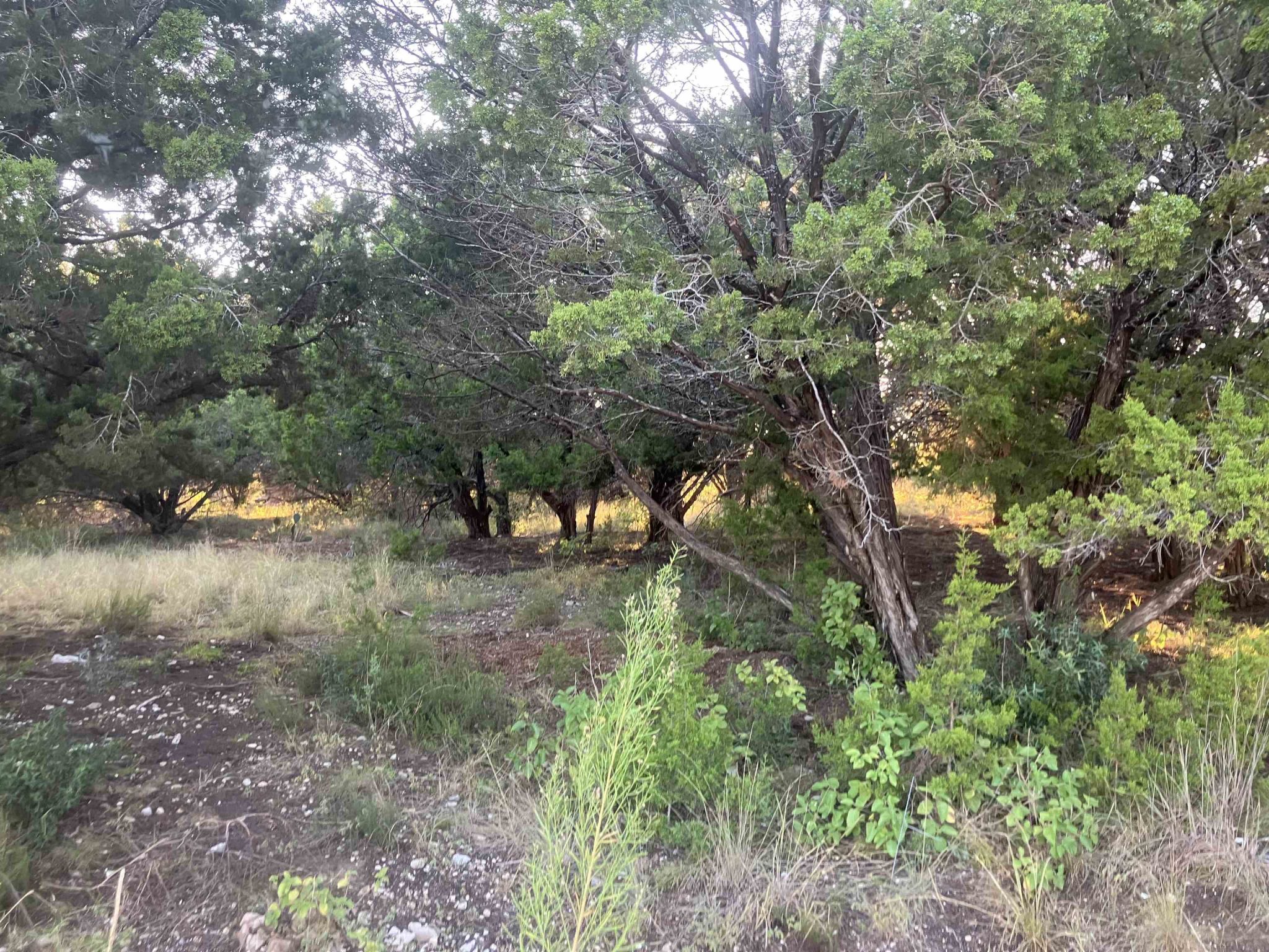 3108 Burnside Circle, Lago Vista