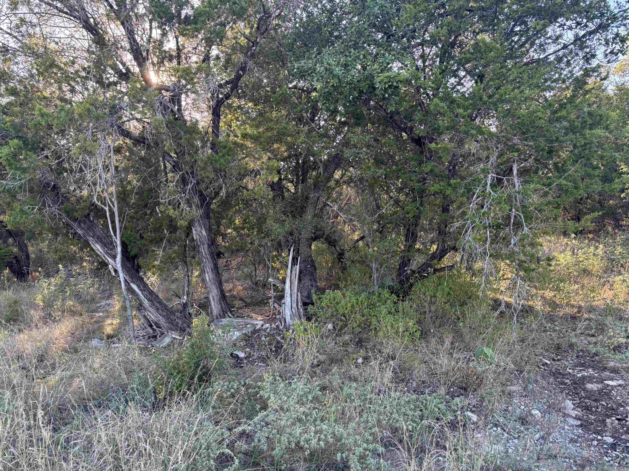 Lot K4106 Coon, Horseshoe Bay