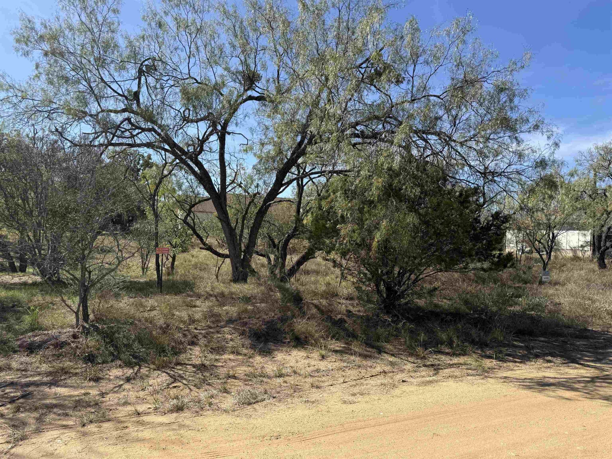 LOT 187 Longmont, Kingsland