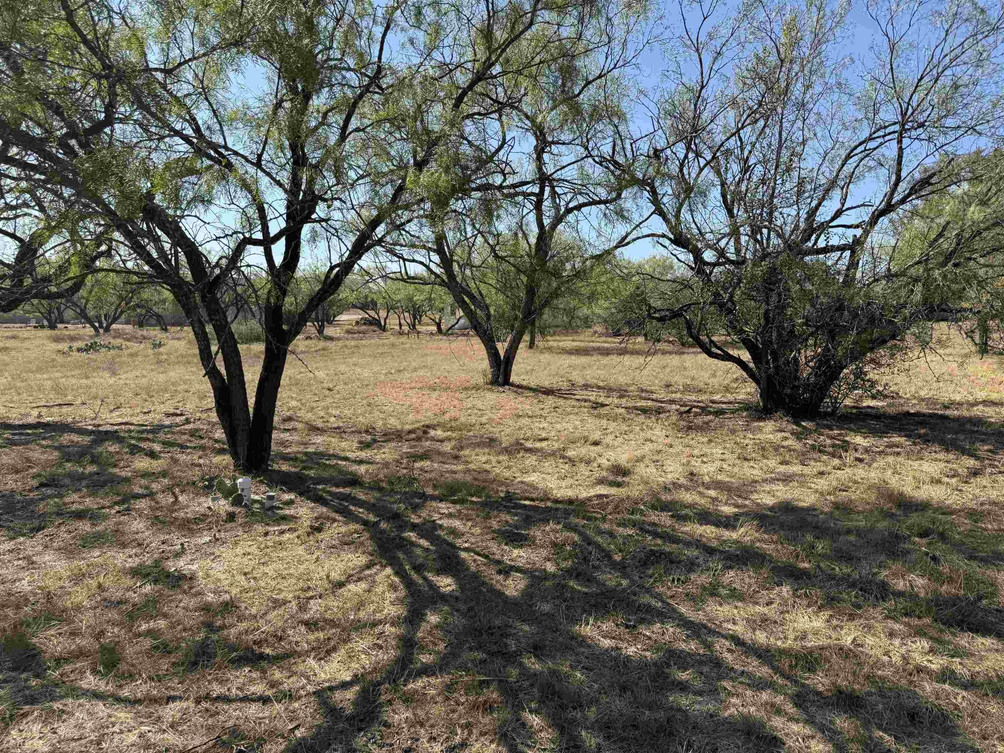 2324 Fault Line, Horseshoe Bay