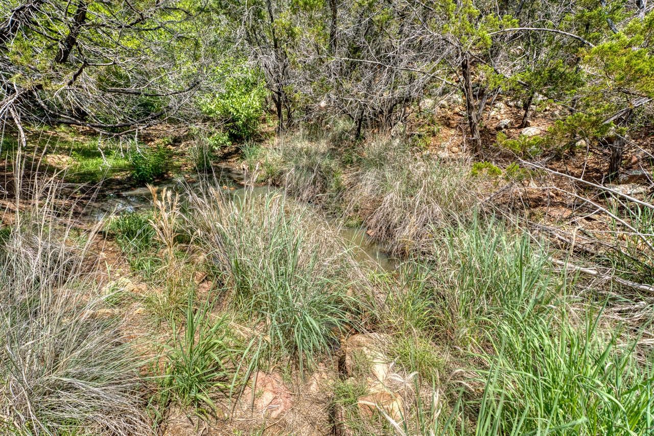 Spring on Ranch