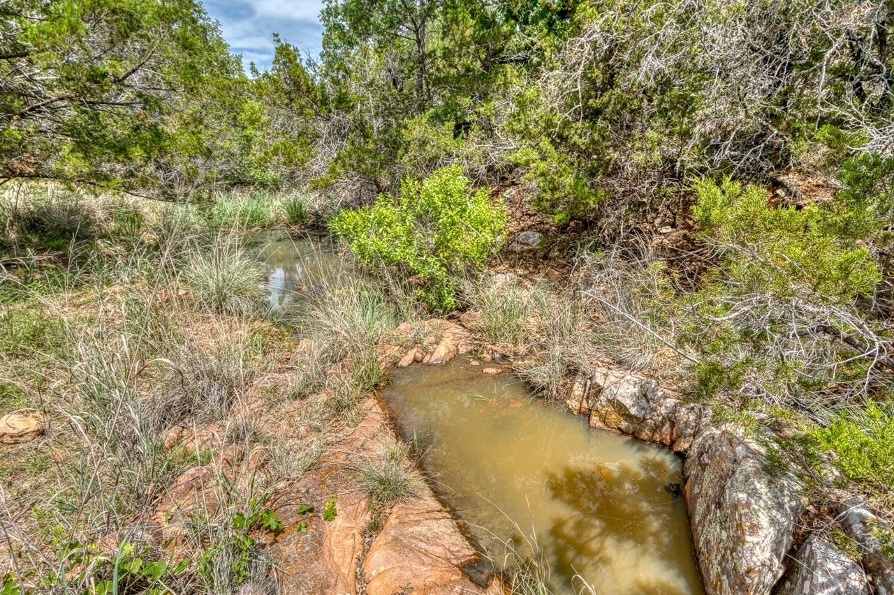 Spring on Ranch Owners have never seen dry.