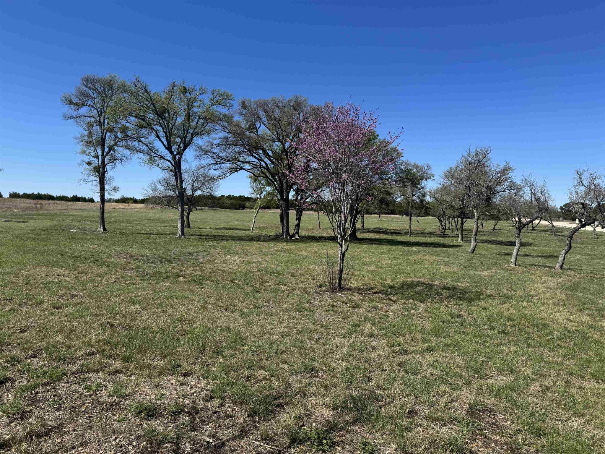 Tract 34 Burnet Oaks, Burnet