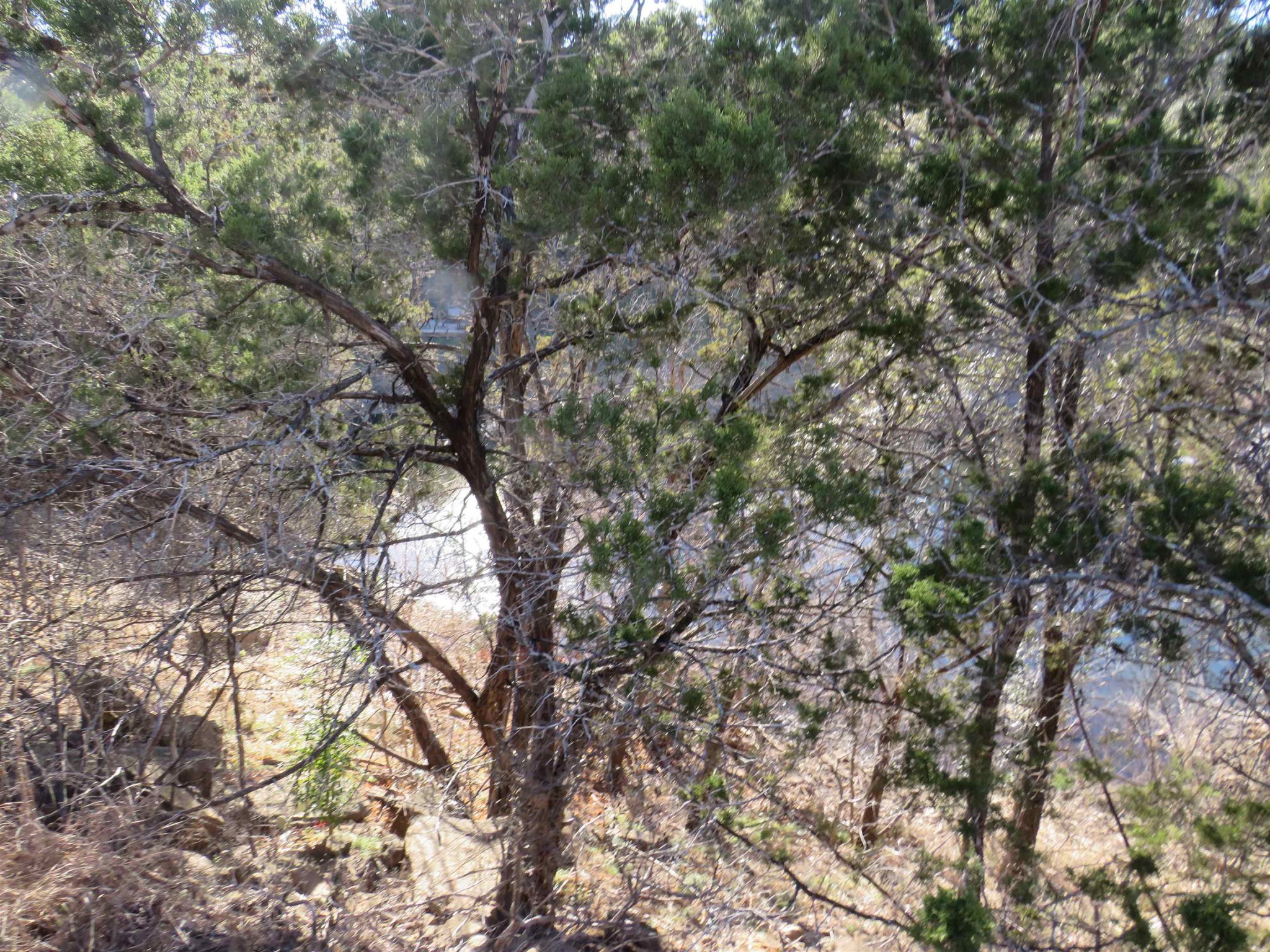 lot 25 SUNSET CLIFF, Burnet