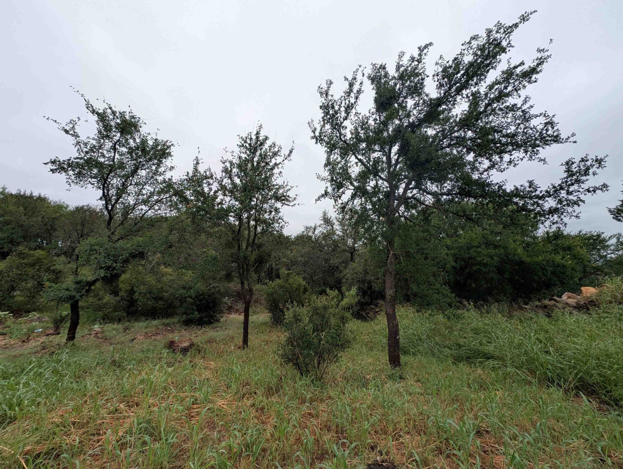 1106 Monterrey Oak Circle, Marble Falls