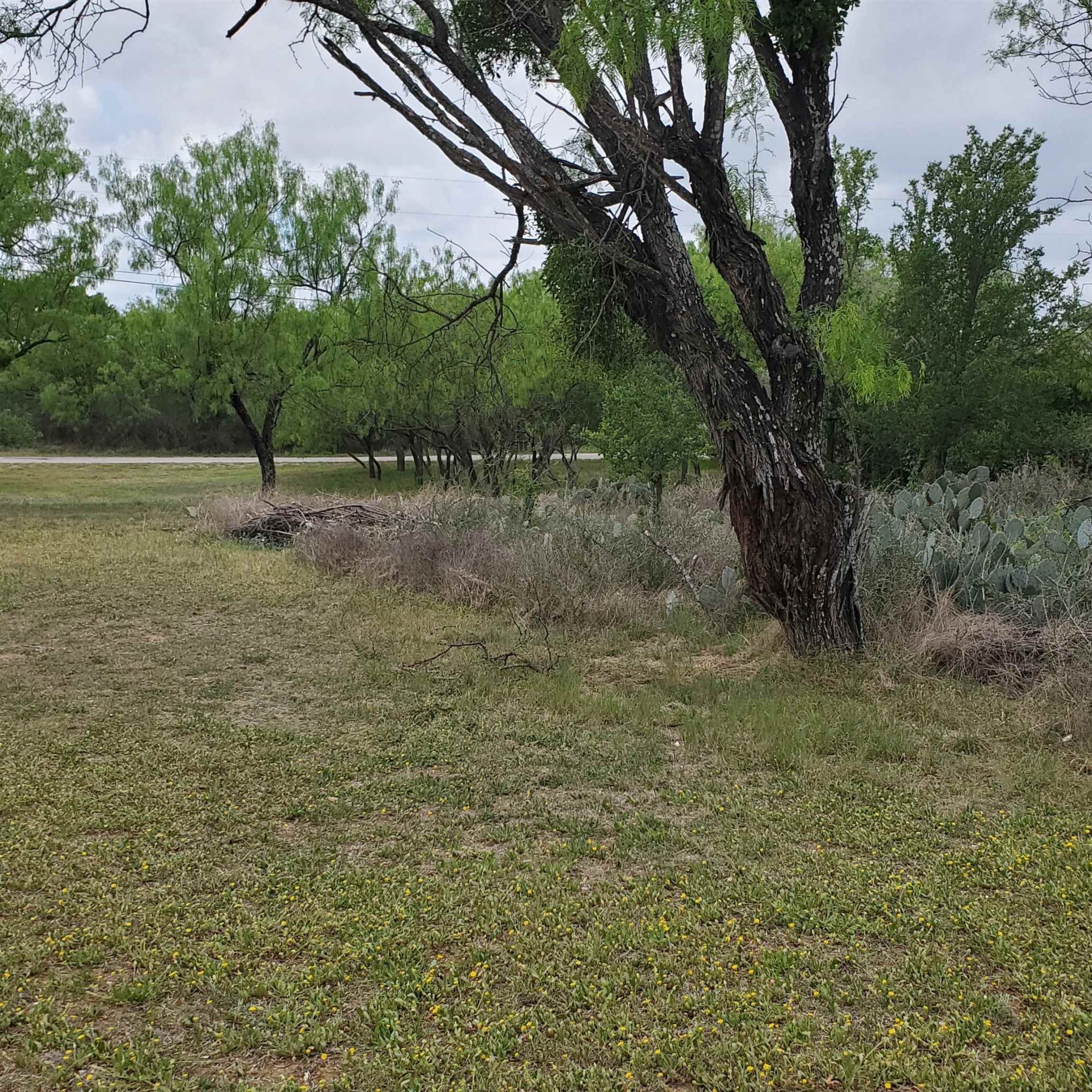 Lot 661 & 662 Norwood, Granite Shoals