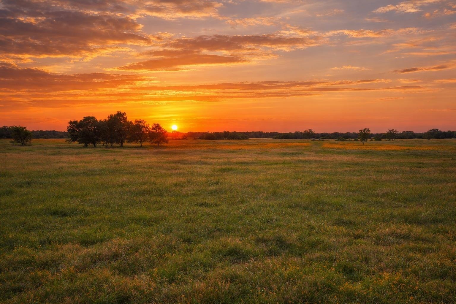 TBD CR 103, Lampasas