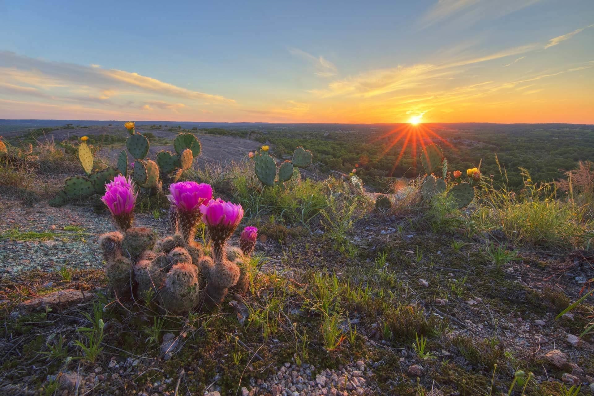 the Texas Hill Country is calling