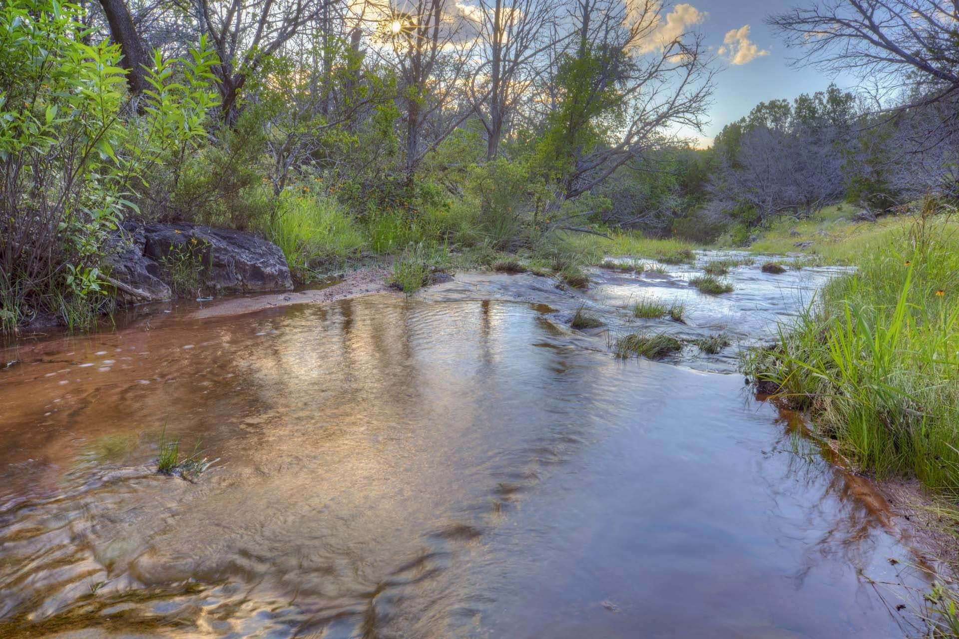 go adventuring in your own creek and springs