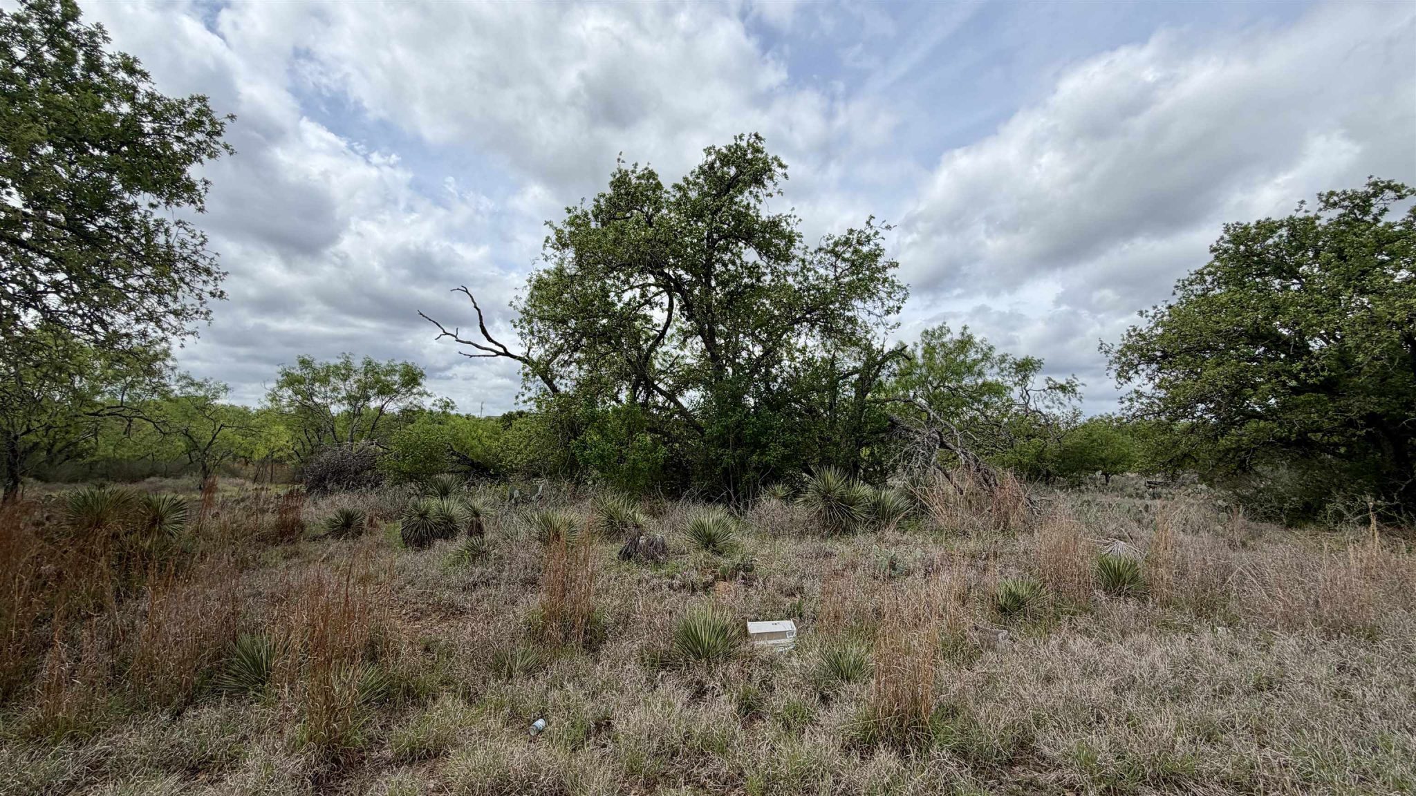 Lot 105 Ridgemont, Kingsland
