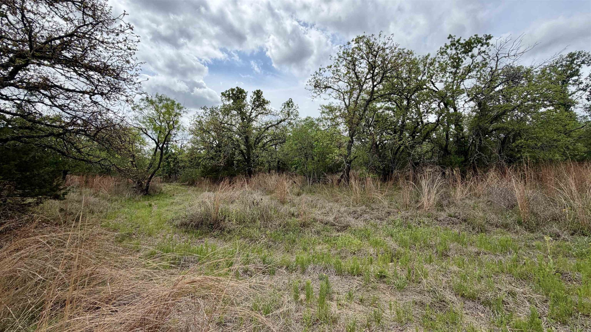 Lot 110 Ridgemont, Kingsland