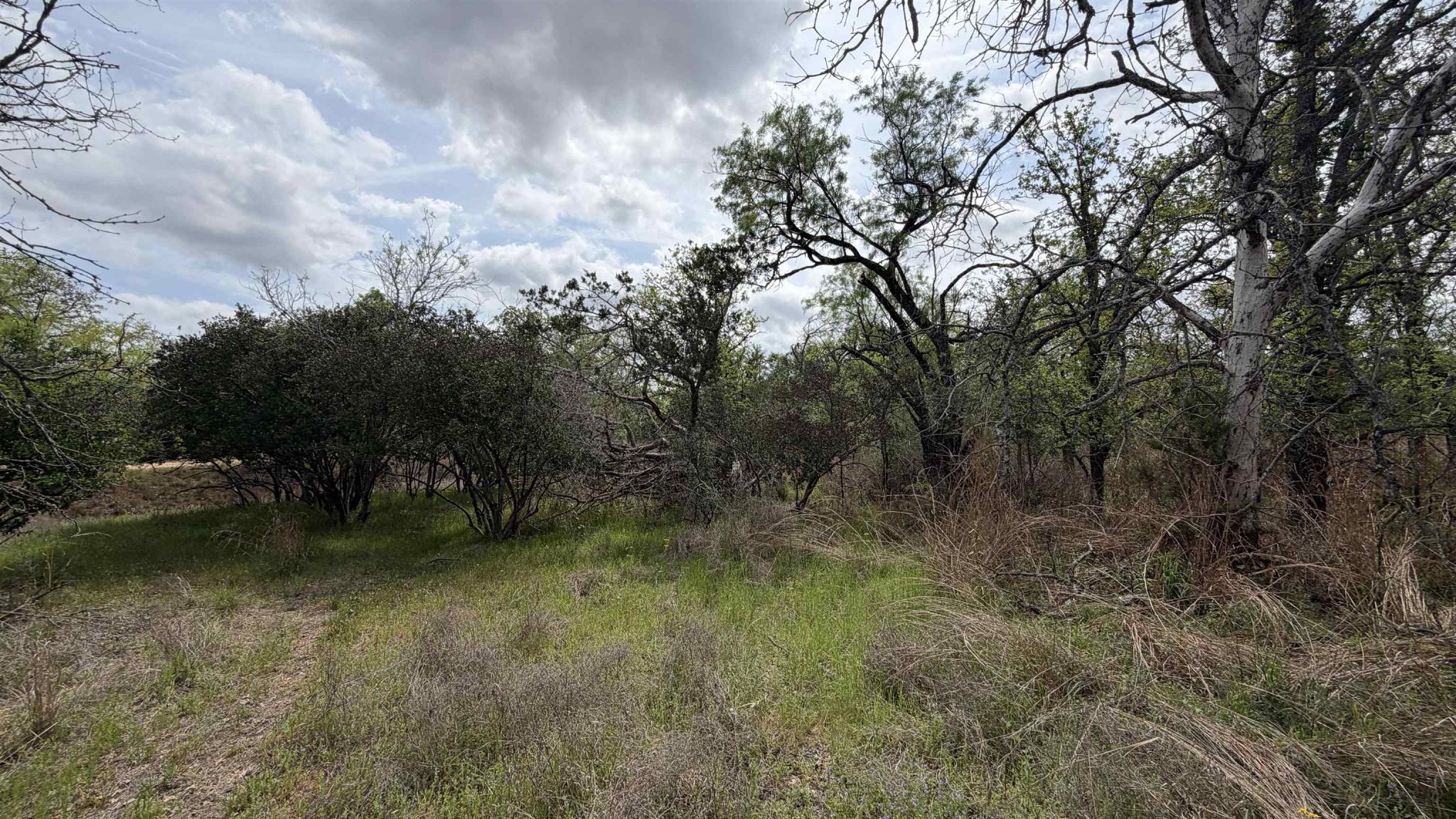 Lot 111 Ridgemont, Kingsland