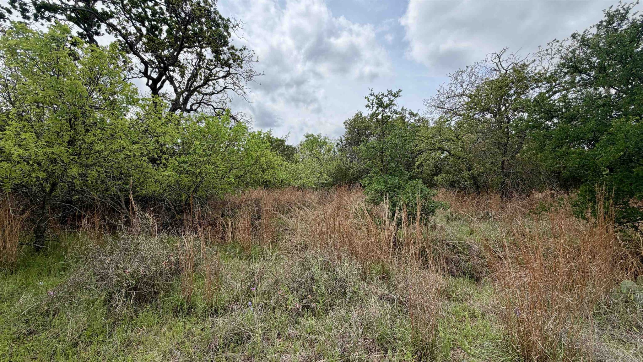 Lot 117 &142 Ridgemont & Brent, Kingsland