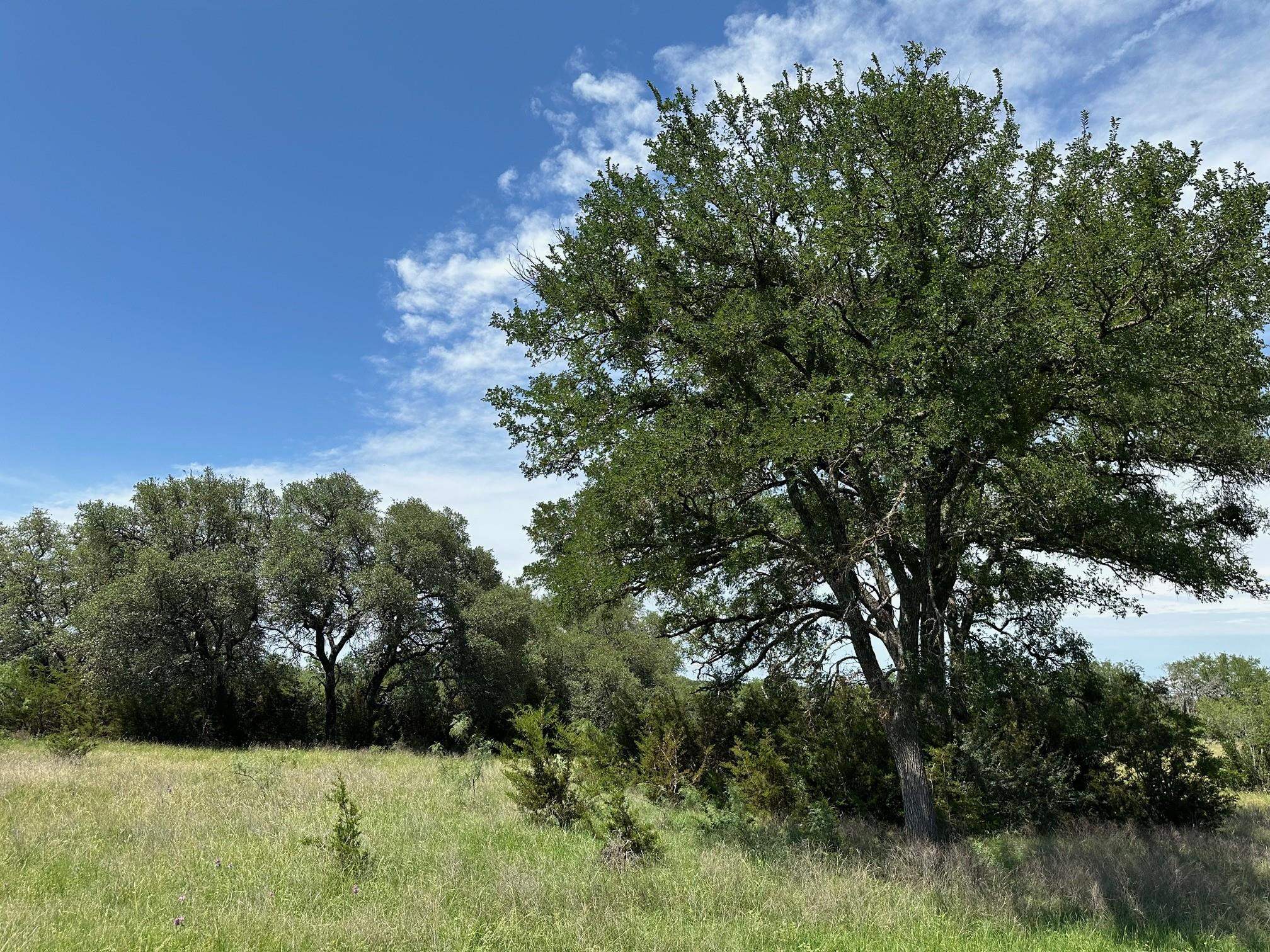 unk County Road 330, Bertram