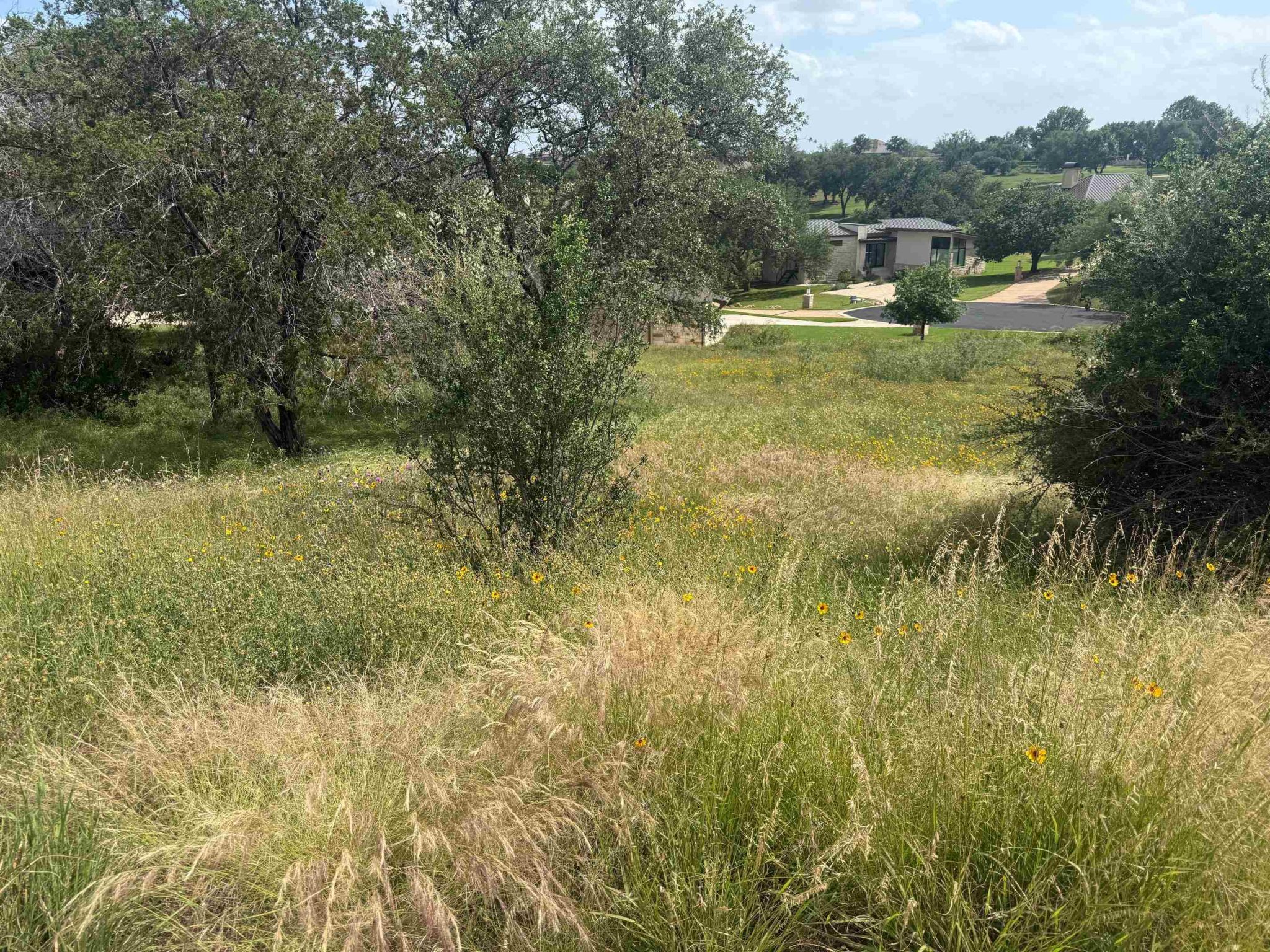LT W25057 Apache Tears, Horseshoe Bay