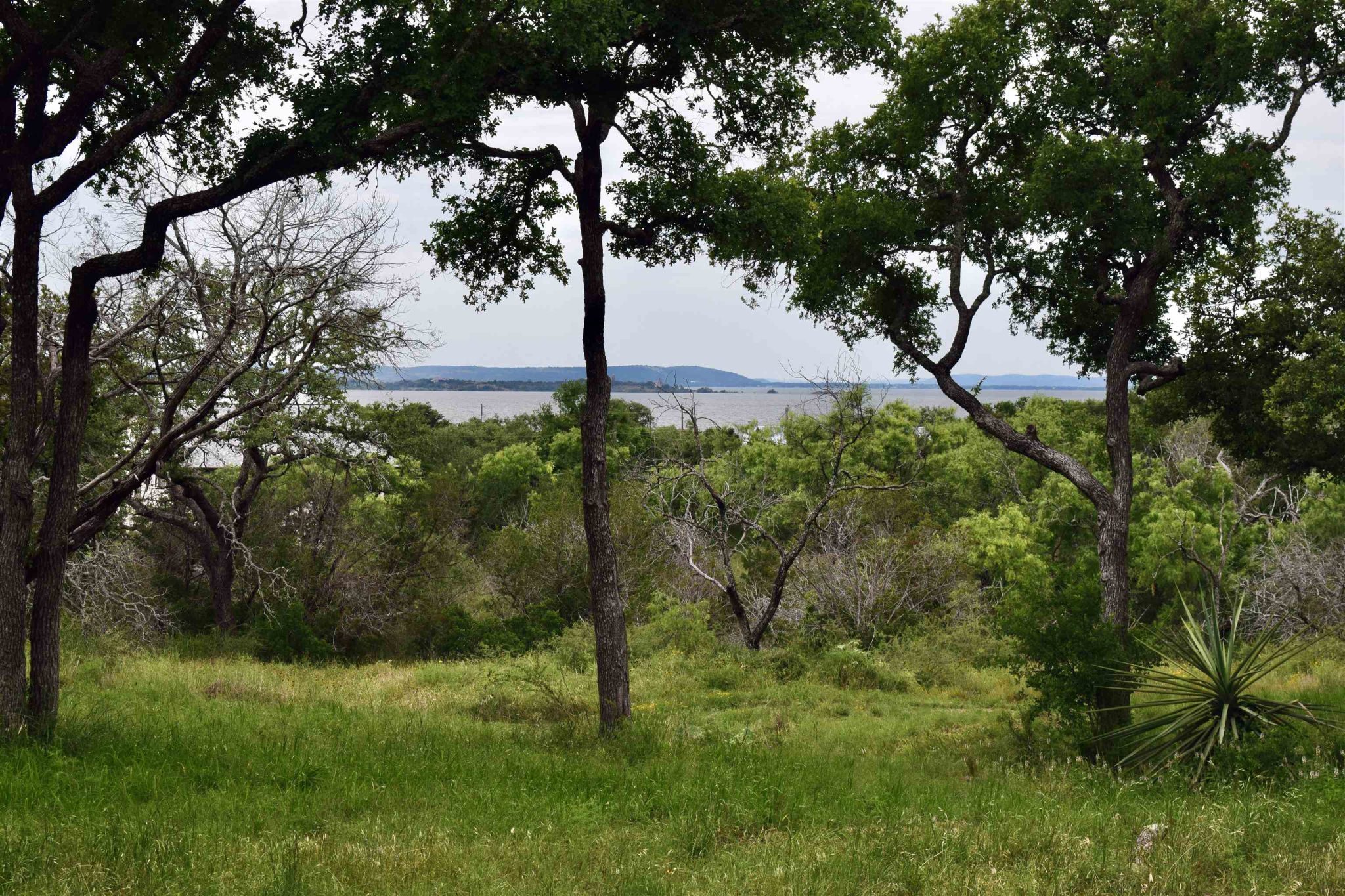 10430 Ranch Road 2341, Burnet