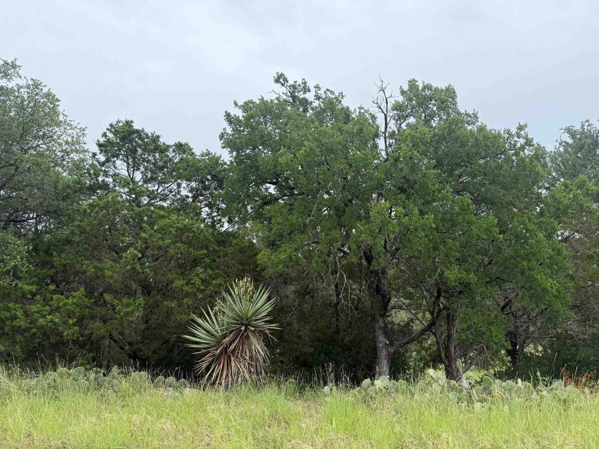 LT 27122 Hi Mesa, Horseshoe Bay