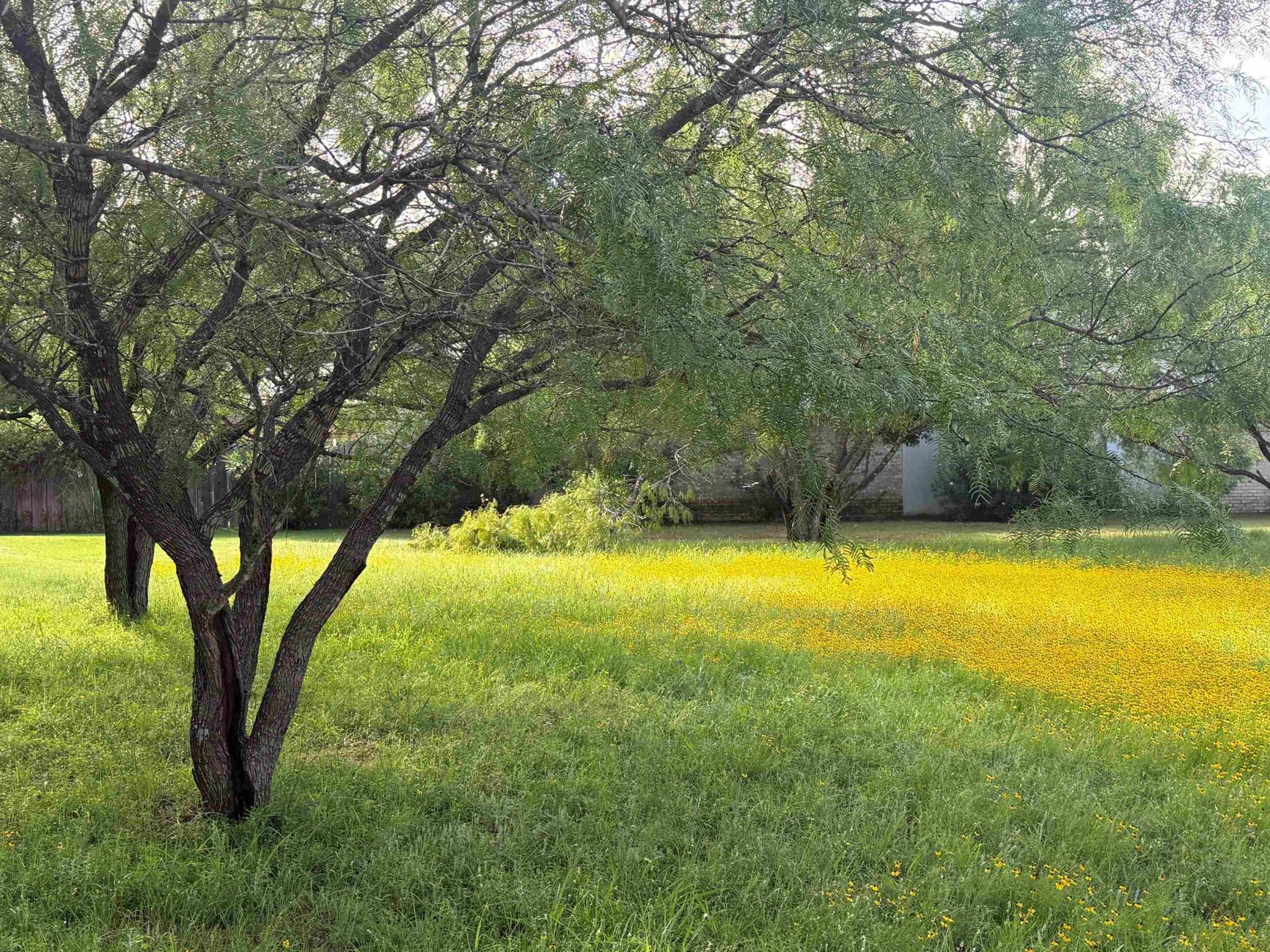 2309 Fault Line Dr, Horseshoe Bay