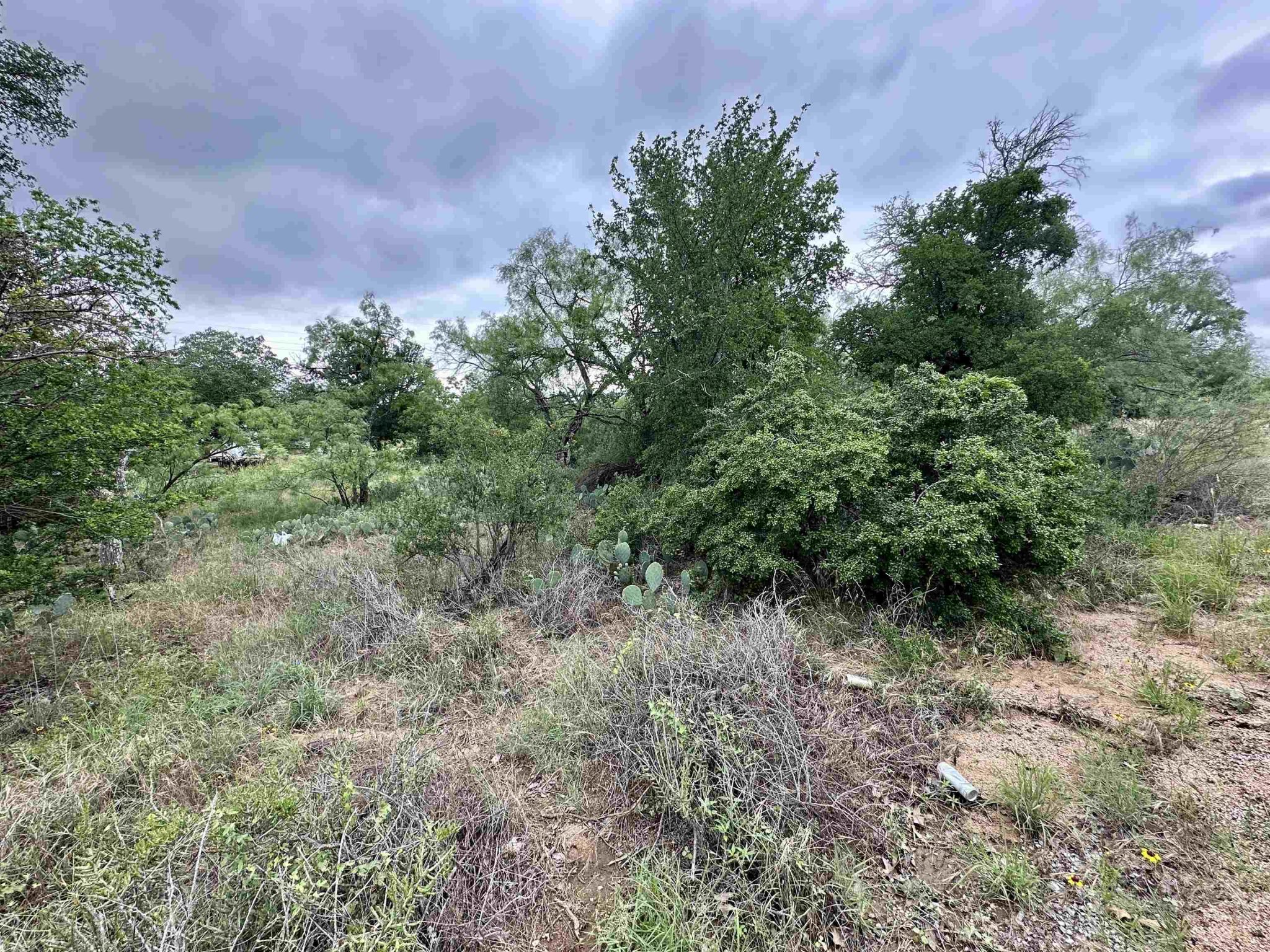 Lot 249 Cactus, Kingsland