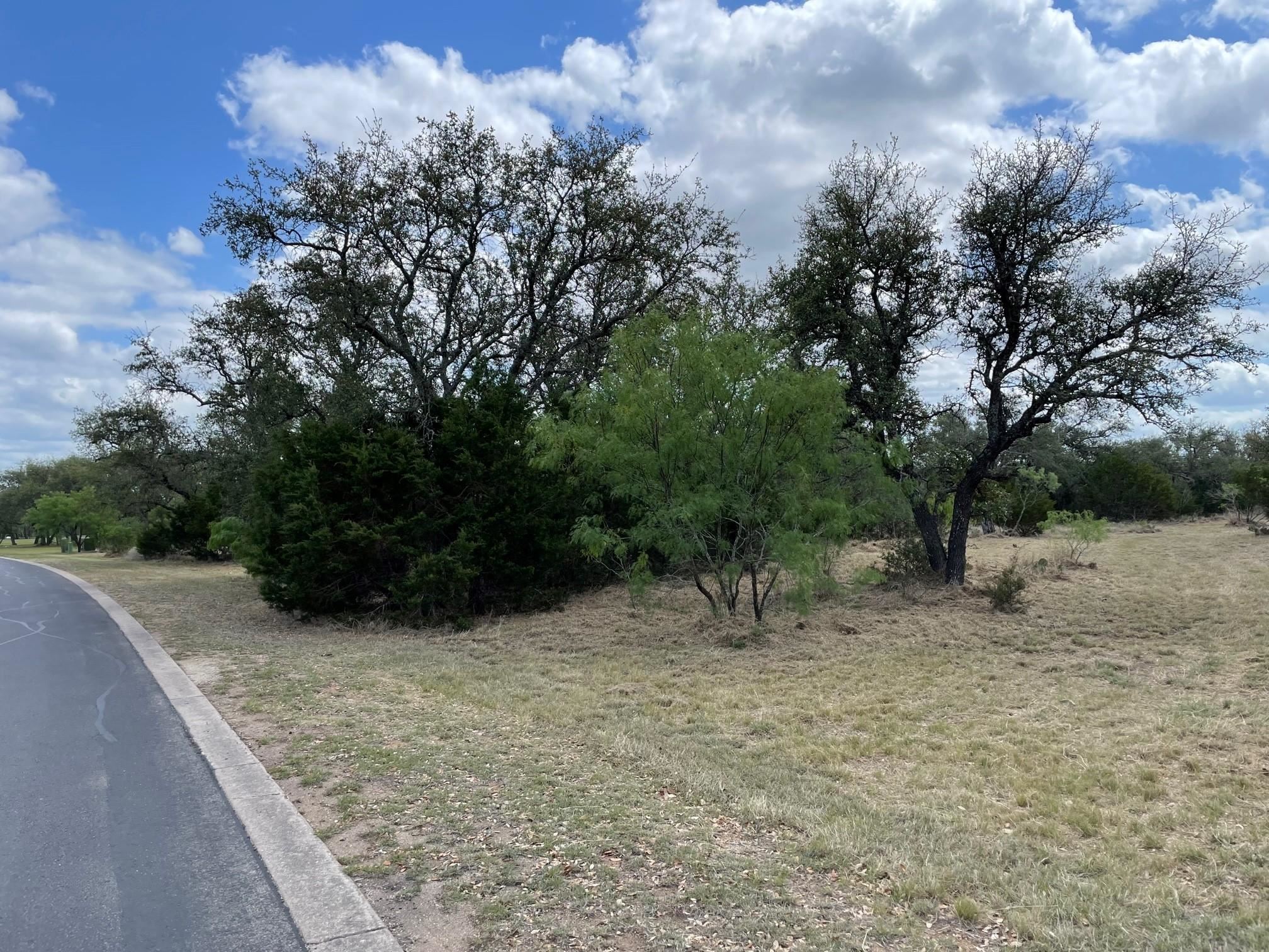 302 Vista View Trl, Spicewood