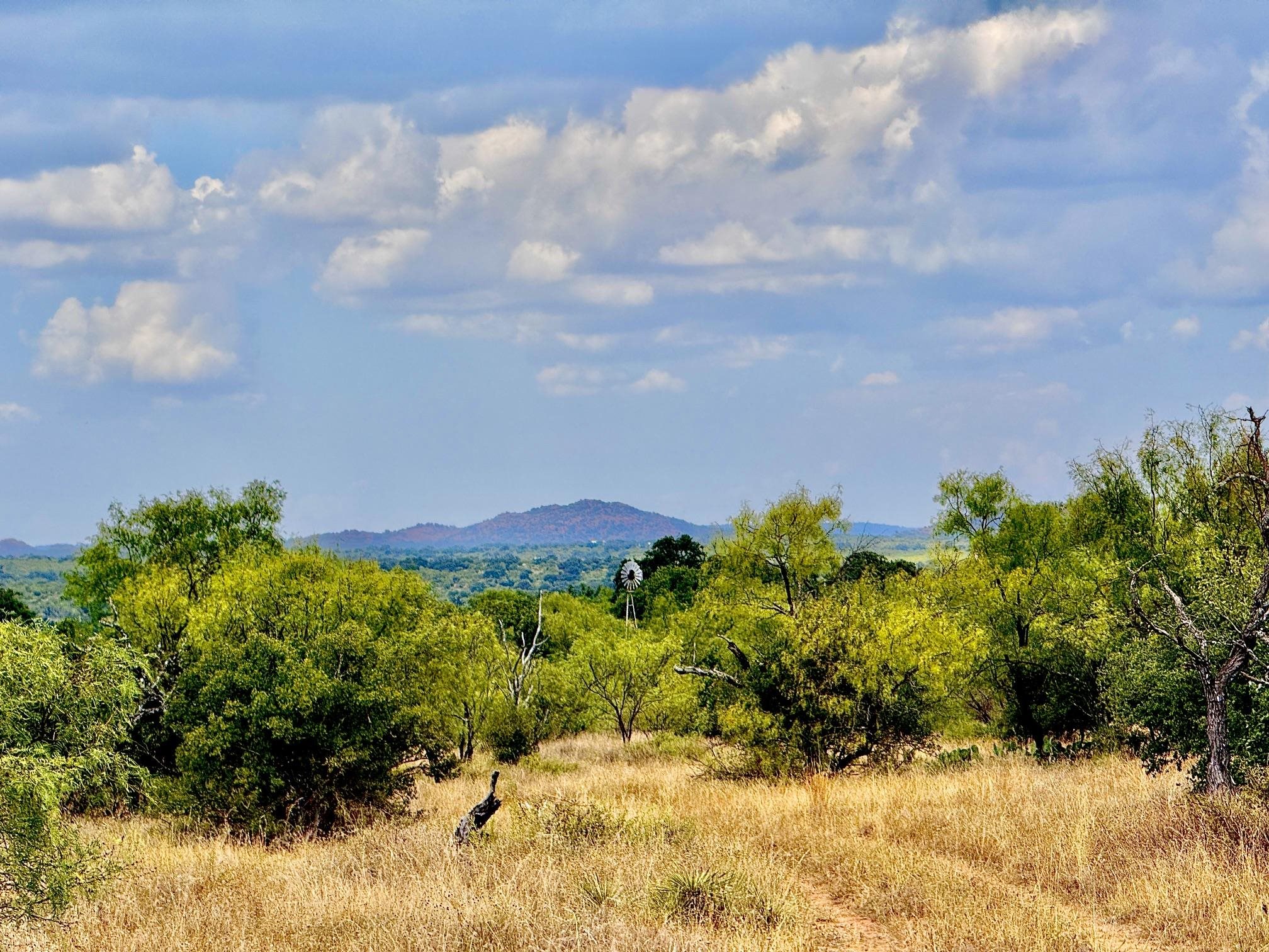000 Hwy 29, Llano