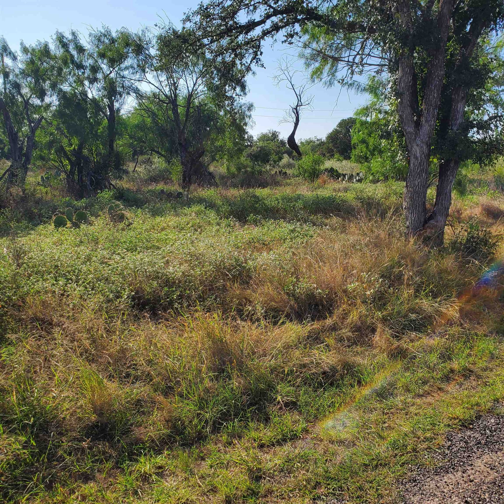 Lots 376 & 377 Woodcrest, Granite Shoals