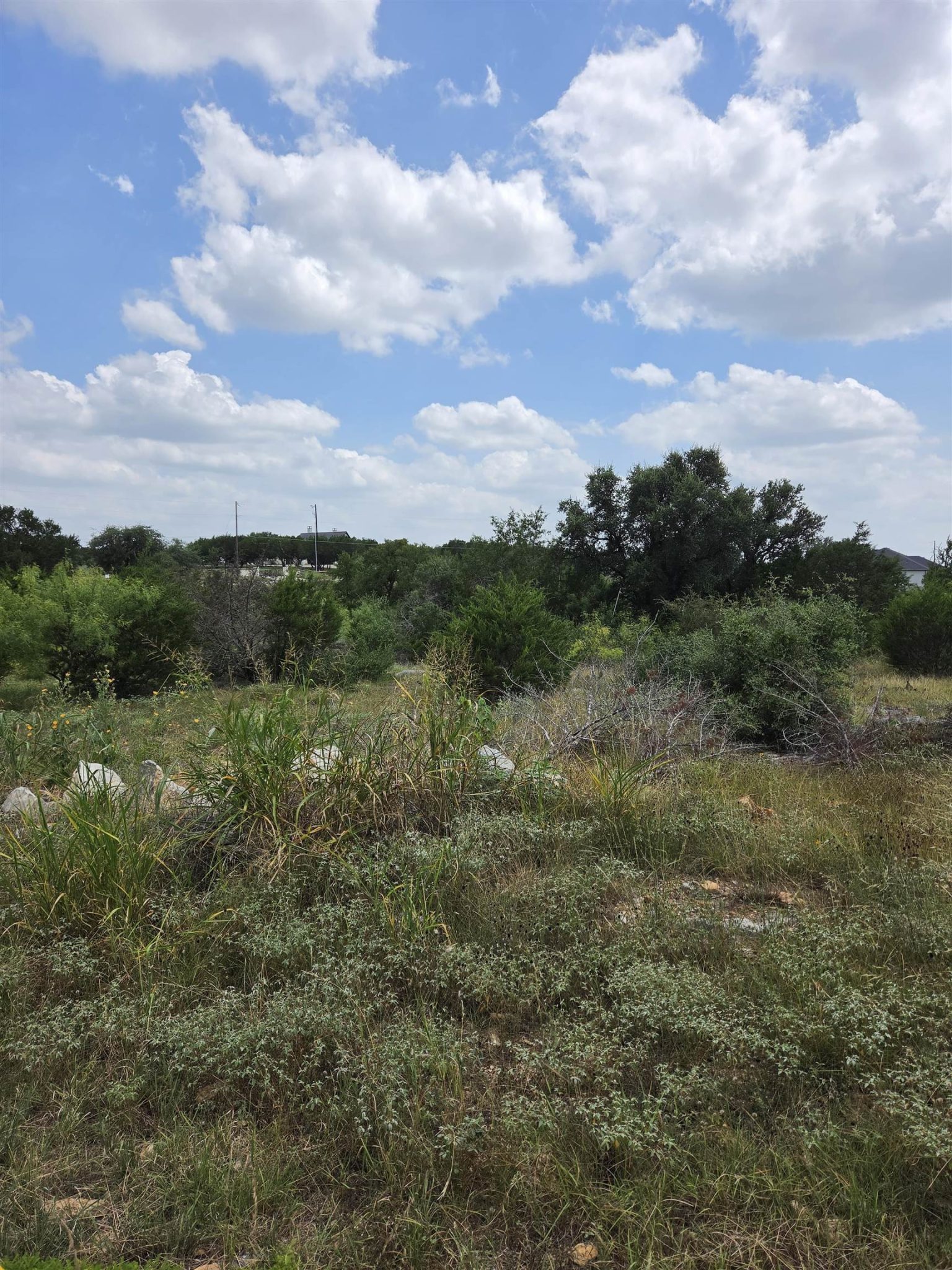 Lot #22 Mustang Ridge Estates, Trophy Oak Trail, Marble Falls
