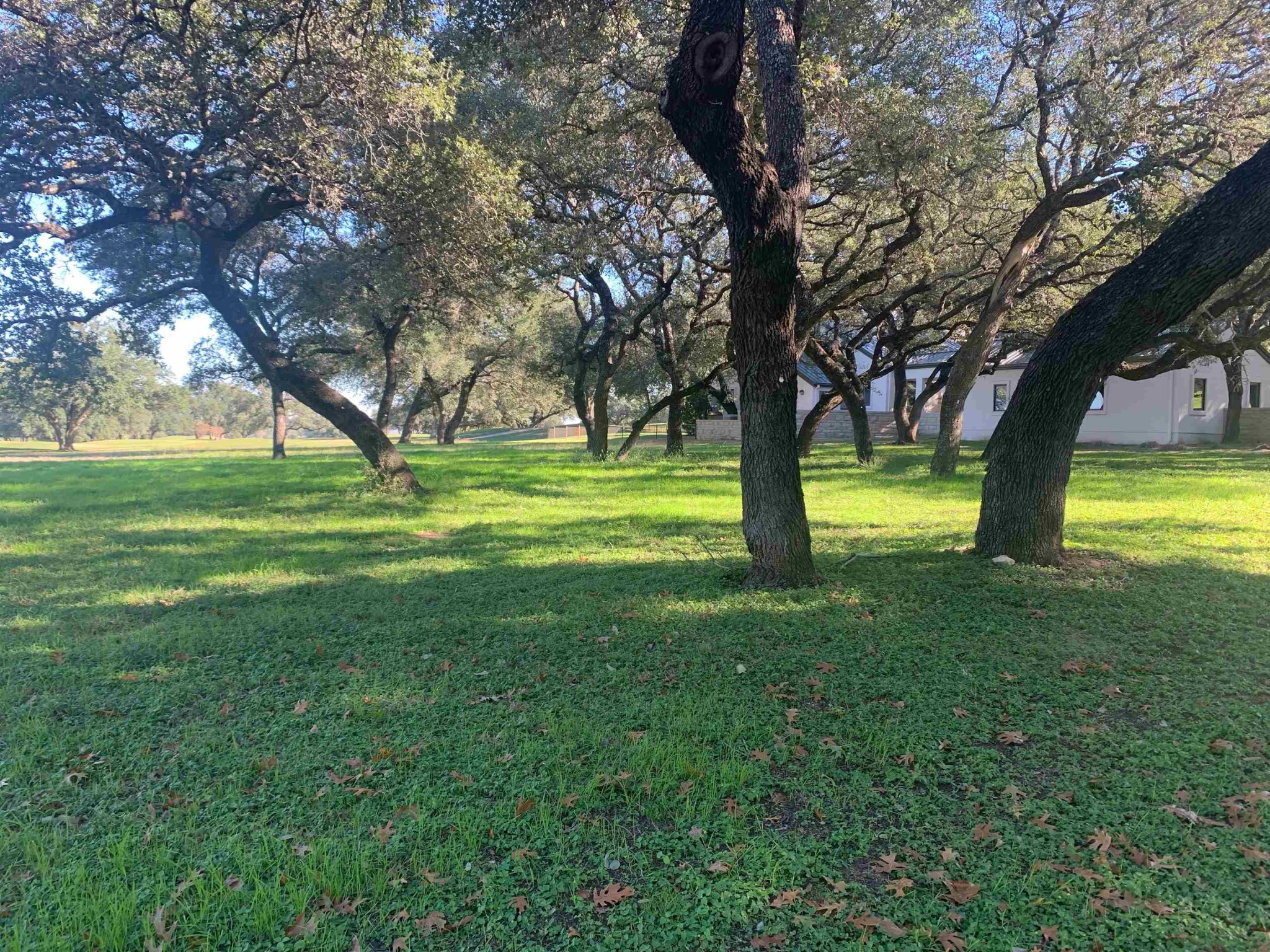 27029 Masters Pkwy, Spicewood