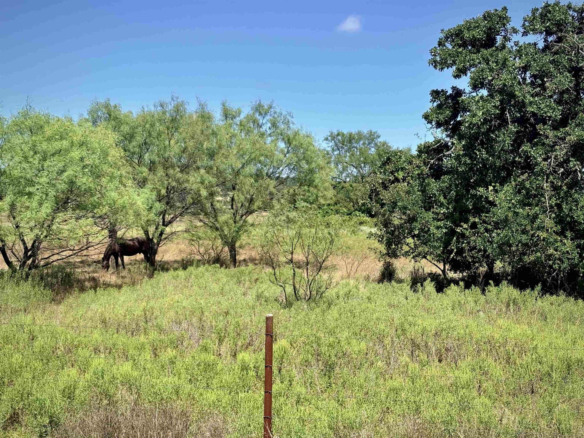 Buffalo Spring Circle, Valley Spring