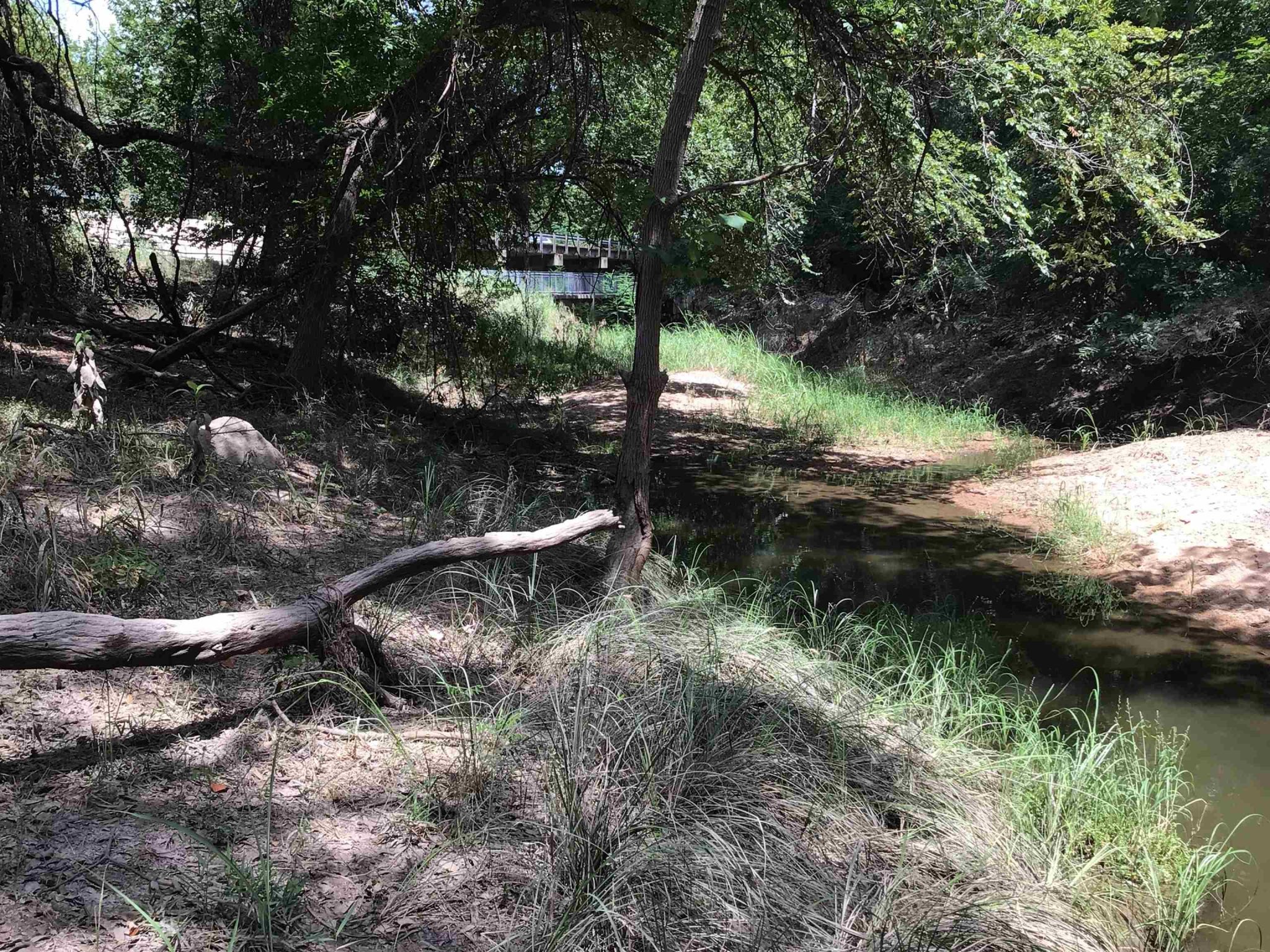 Txdot has a sidewalk next to the bridge that wandered over property line