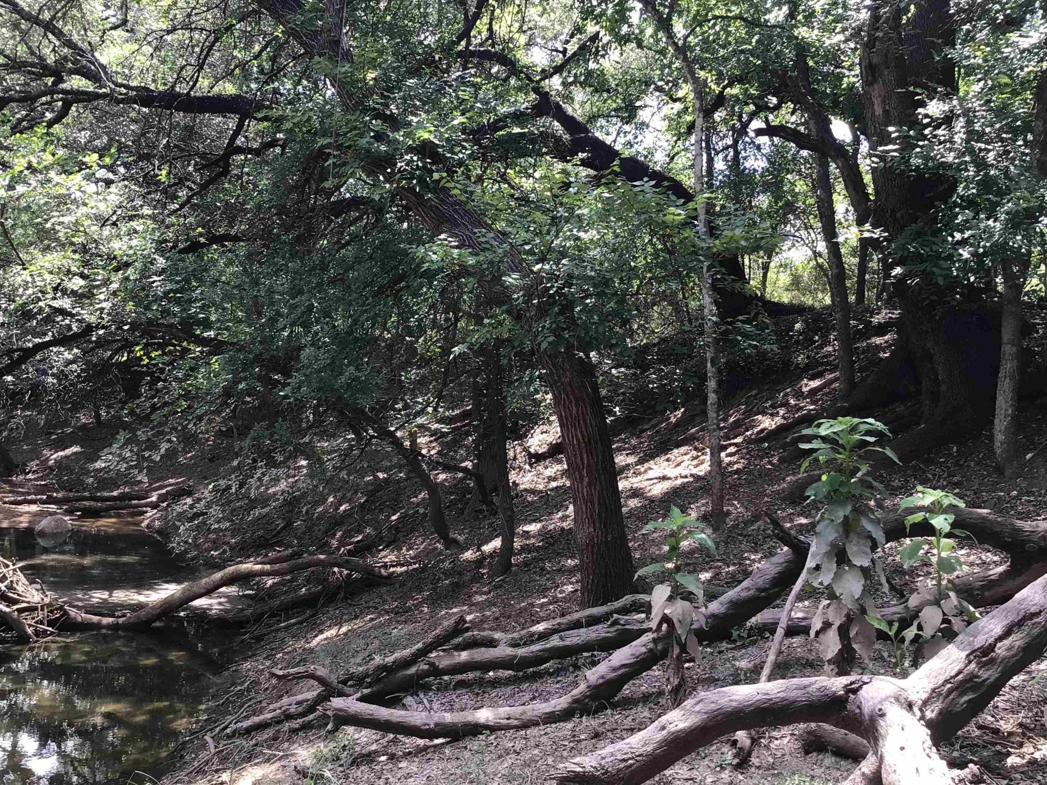 Flood zone