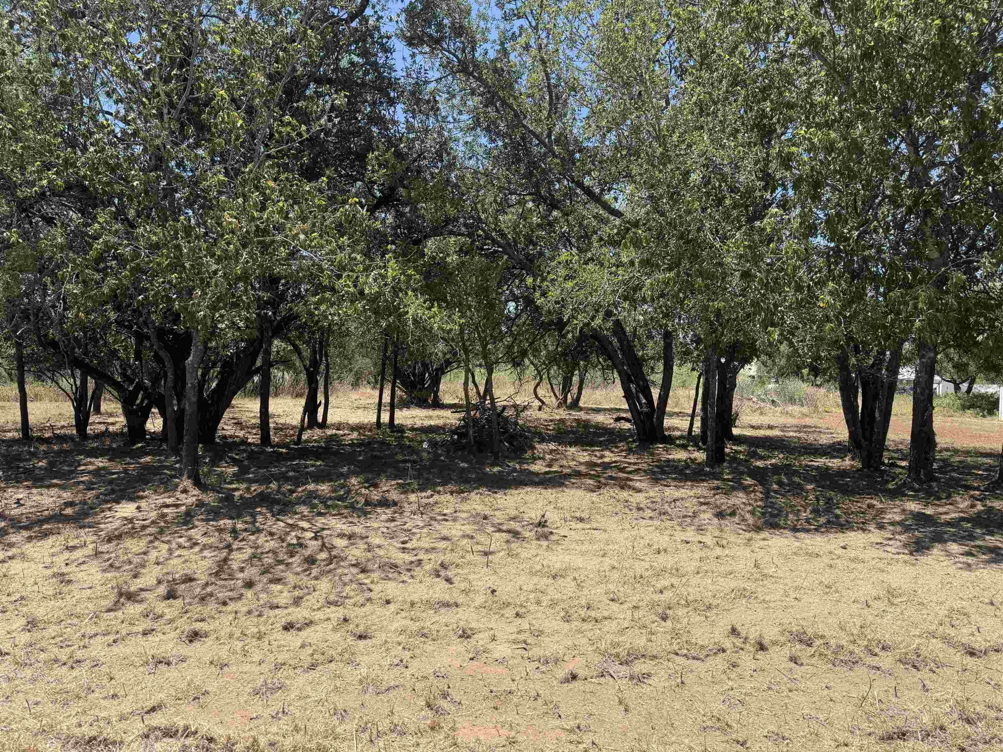 Lot #494 Driftwood, Cottonwood Shores